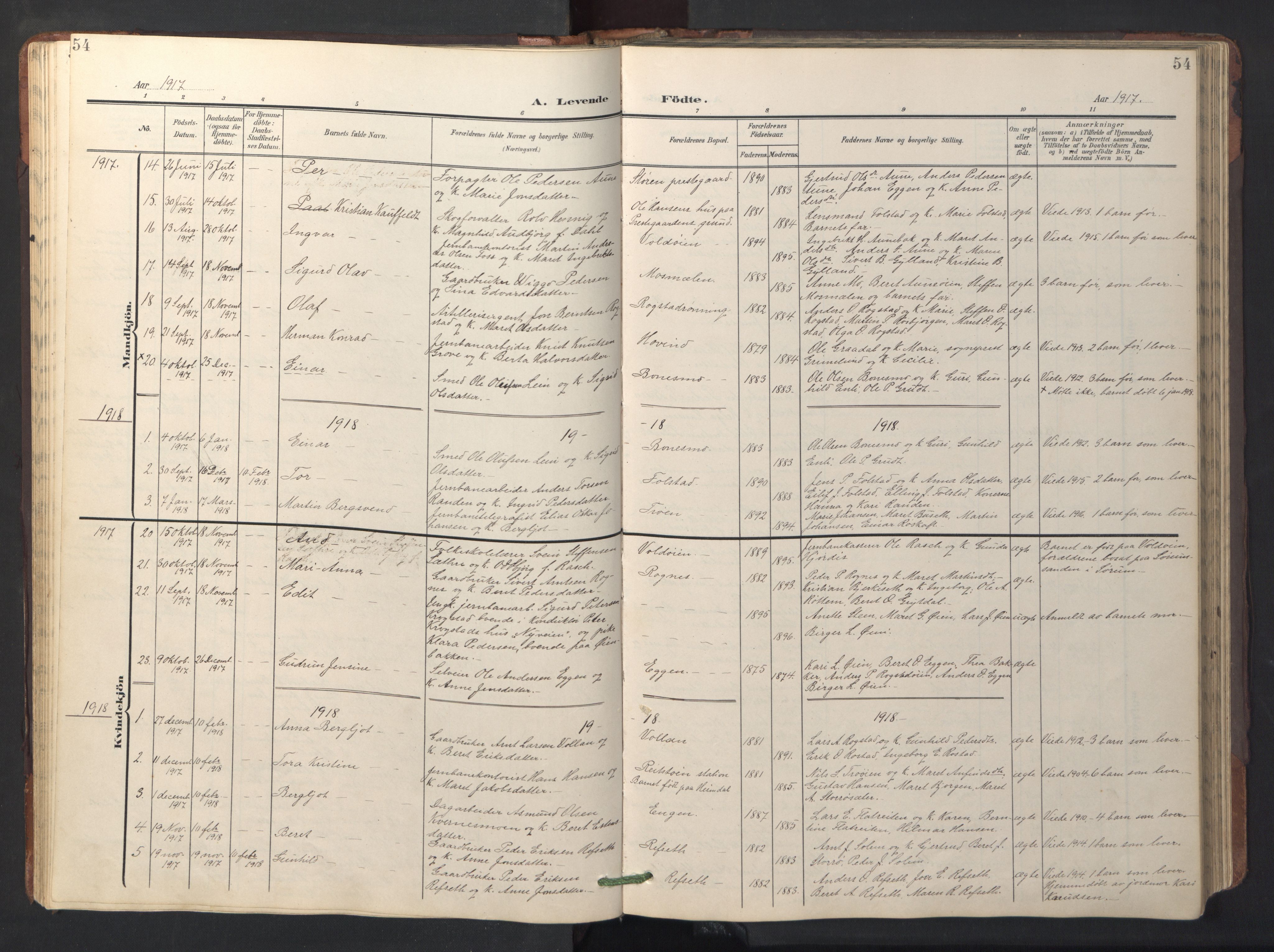 Ministerialprotokoller, klokkerbøker og fødselsregistre - Sør-Trøndelag, SAT/A-1456/687/L1019: Parish register (copy) no. 687C03, 1904-1931, p. 54