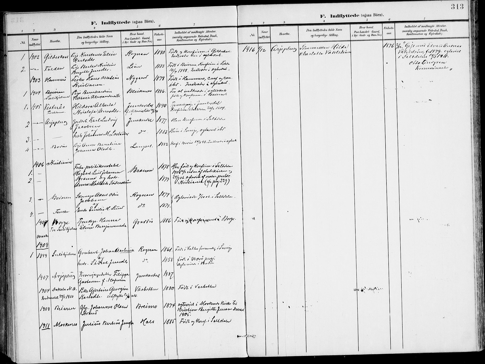 Ministerialprotokoller, klokkerbøker og fødselsregistre - Nordland, AV/SAT-A-1459/847/L0672: Parish register (official) no. 847A12, 1902-1919, p. 313