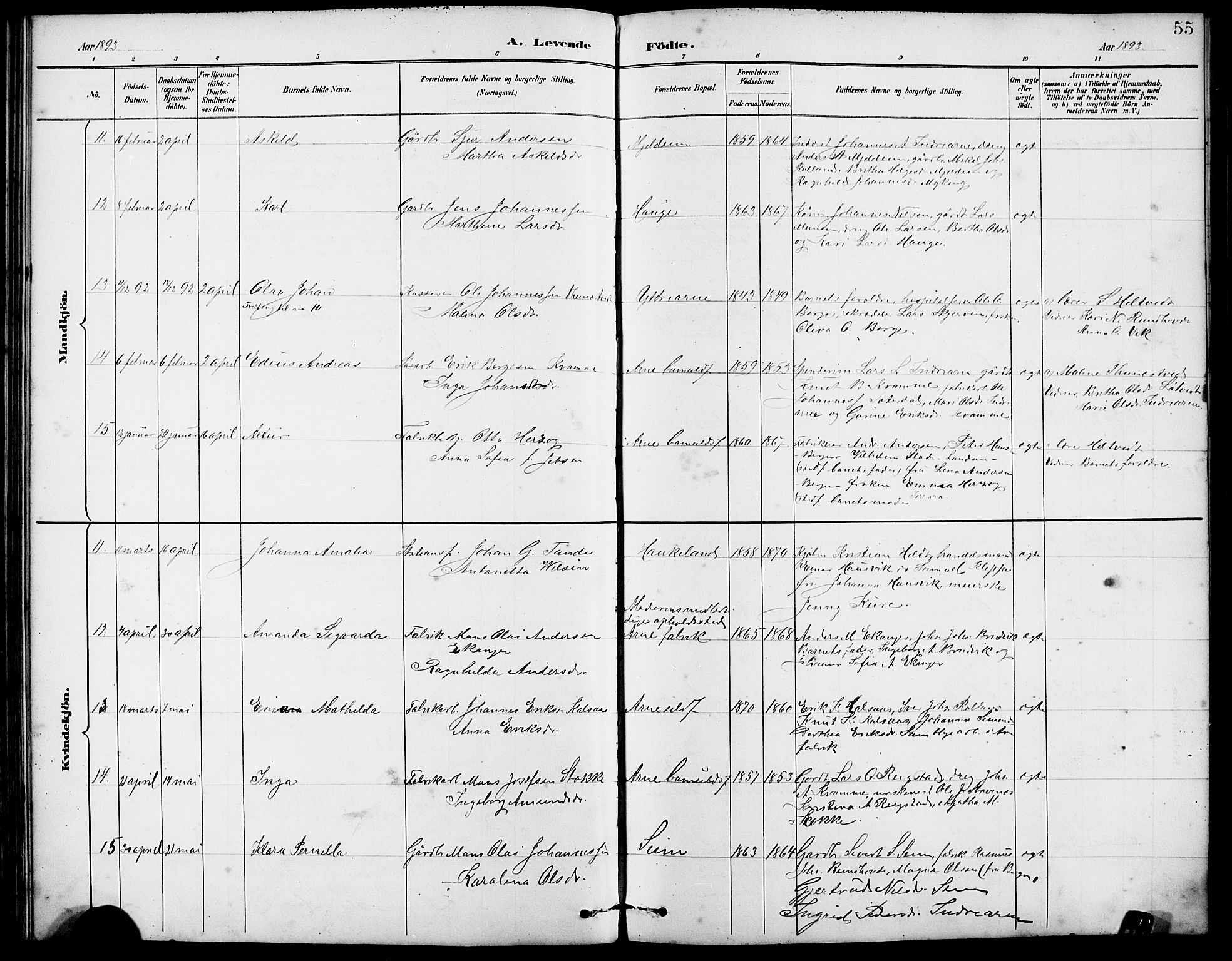 Arna Sokneprestembete, SAB/A-74001/H/Ha/Hab: Parish register (copy) no. A 3, 1887-1897, p. 55