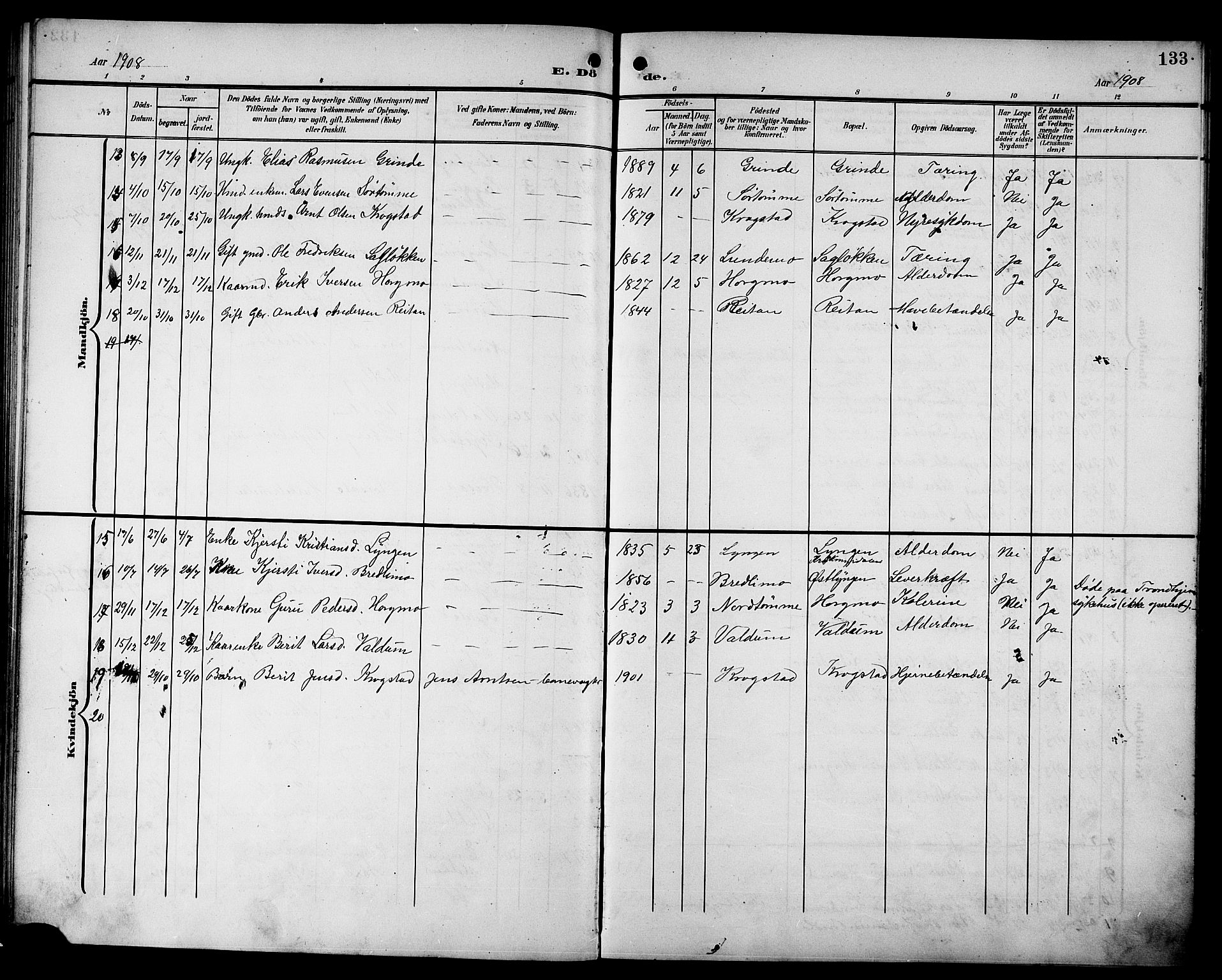 Ministerialprotokoller, klokkerbøker og fødselsregistre - Sør-Trøndelag, SAT/A-1456/692/L1112: Parish register (copy) no. 692C07, 1904-1918, p. 133