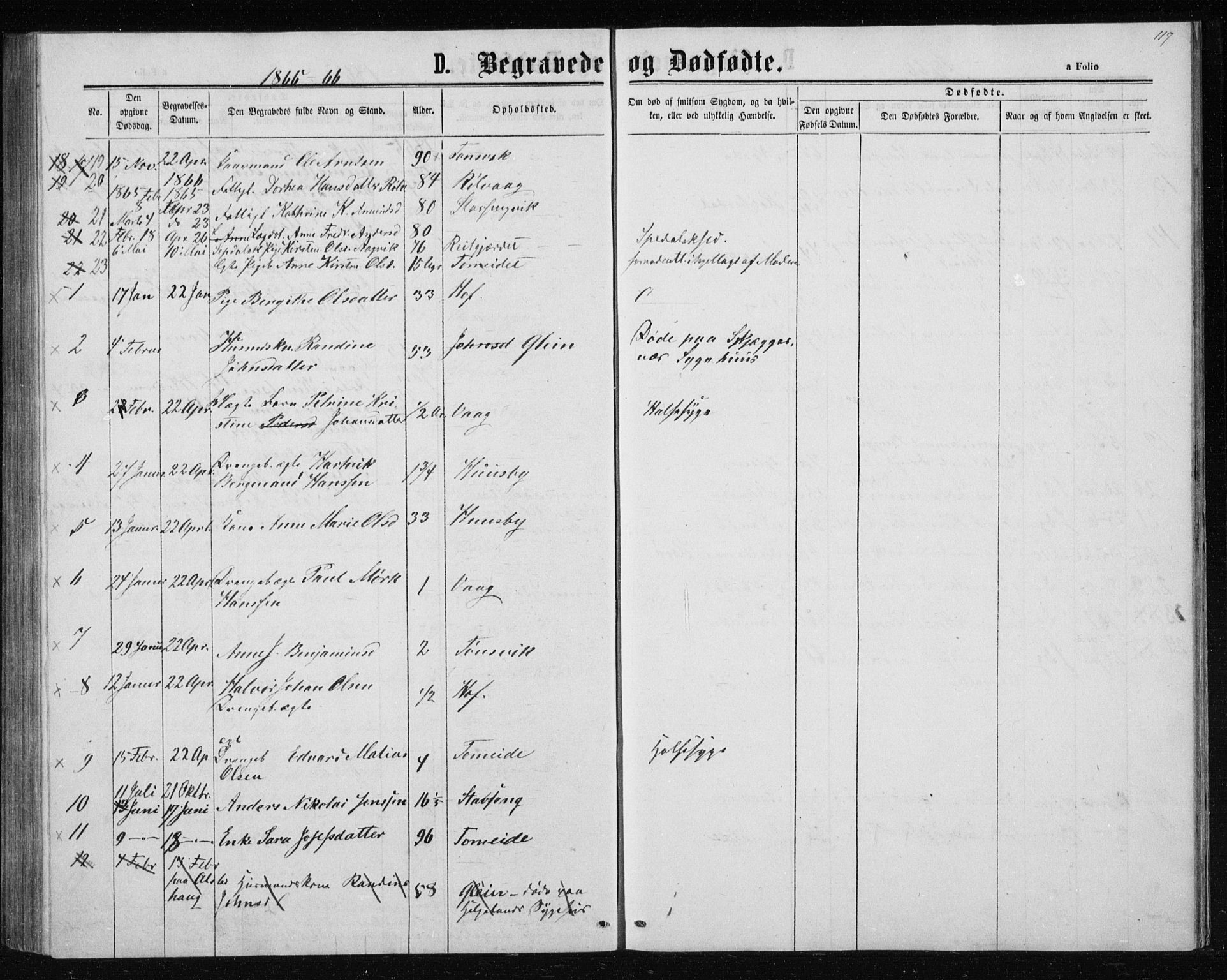 Ministerialprotokoller, klokkerbøker og fødselsregistre - Nordland, SAT/A-1459/835/L0531: Parish register (copy) no. 835C03, 1865-1877, p. 117