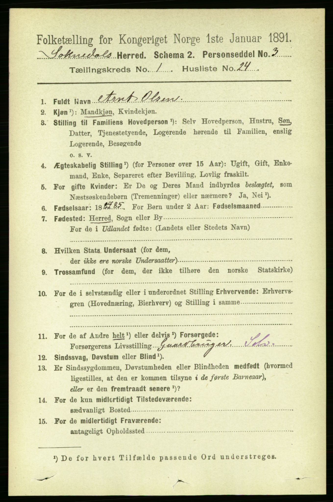 RA, 1891 census for 1649 Soknedal, 1891, p. 220