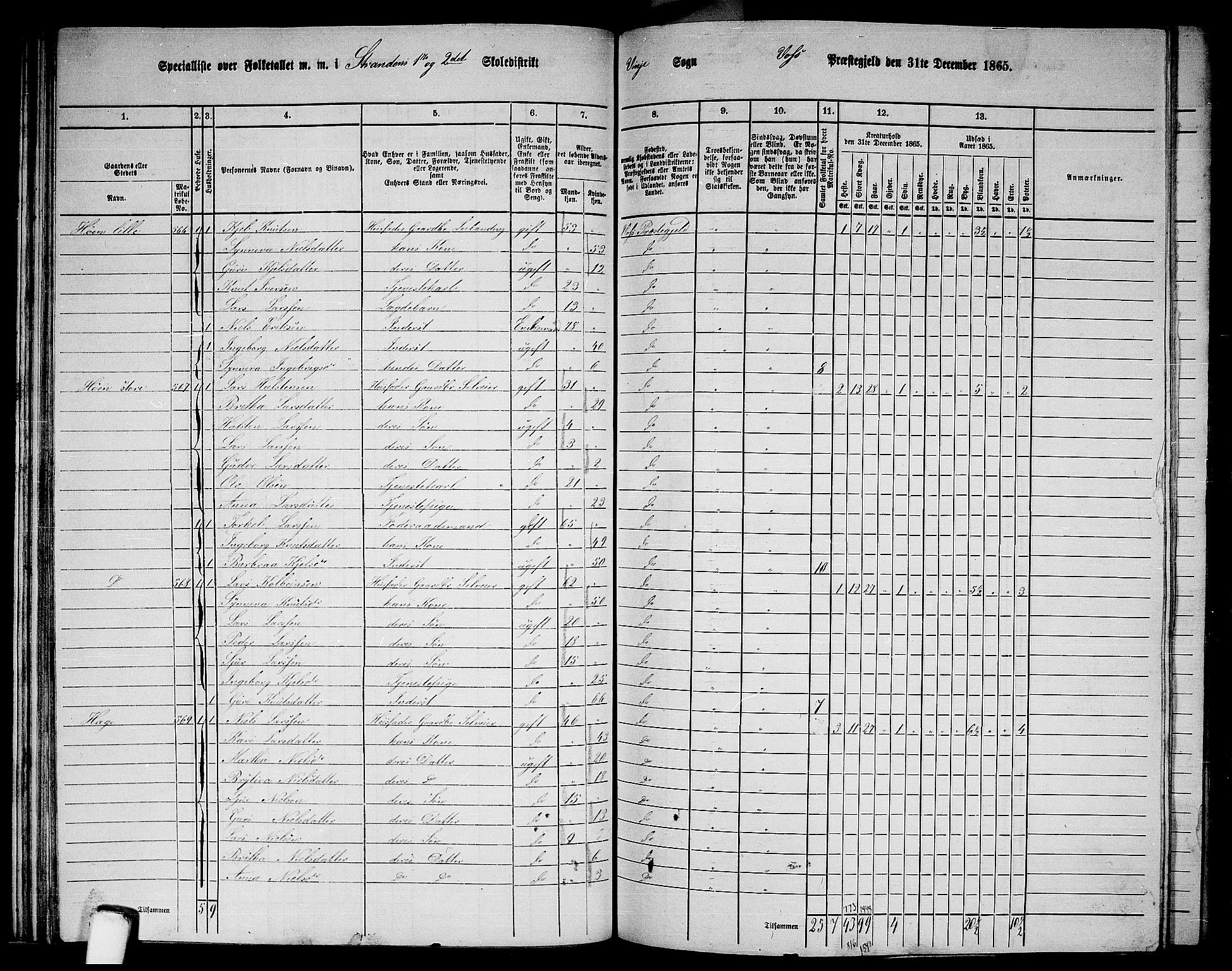 RA, 1865 census for Voss, 1865, p. 307