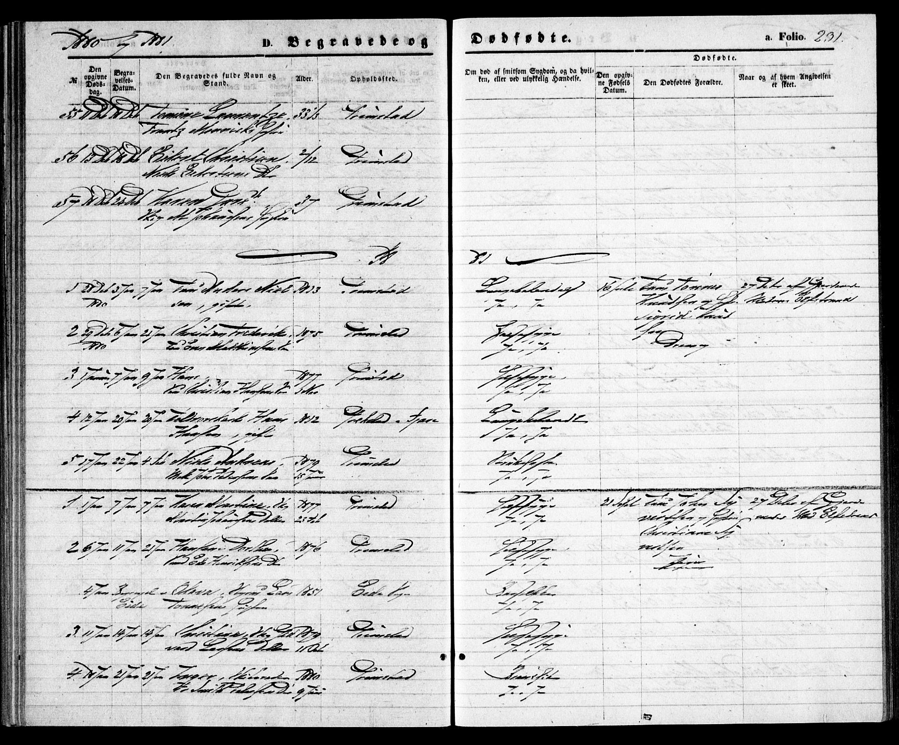 Grimstad sokneprestkontor, SAK/1111-0017/F/Fa/L0002: Parish register (official) no. A 1, 1869-1881, p. 231