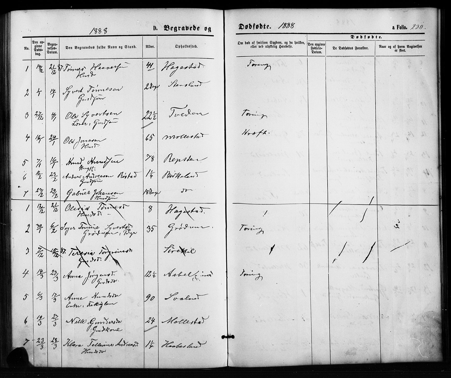 Birkenes sokneprestkontor, AV/SAK-1111-0004/F/Fb/L0003: Parish register (copy) no. B 3, 1876-1892, p. 230