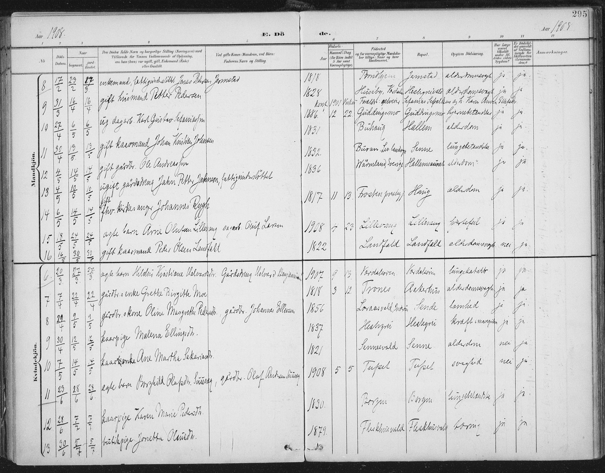 Ministerialprotokoller, klokkerbøker og fødselsregistre - Nord-Trøndelag, SAT/A-1458/723/L0246: Parish register (official) no. 723A15, 1900-1917, p. 295