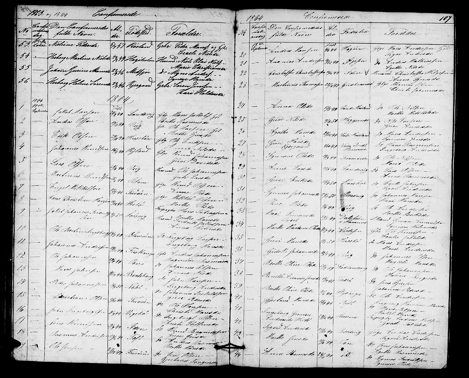 Herdla Sokneprestembete, AV/SAB-A-75701/H/Hab: Parish register (copy) no. A 1, 1859-1880, p. 107