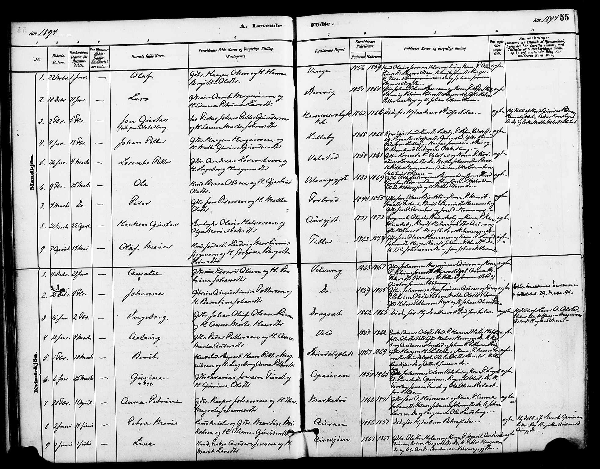Ministerialprotokoller, klokkerbøker og fødselsregistre - Nord-Trøndelag, SAT/A-1458/712/L0100: Parish register (official) no. 712A01, 1880-1900, p. 55