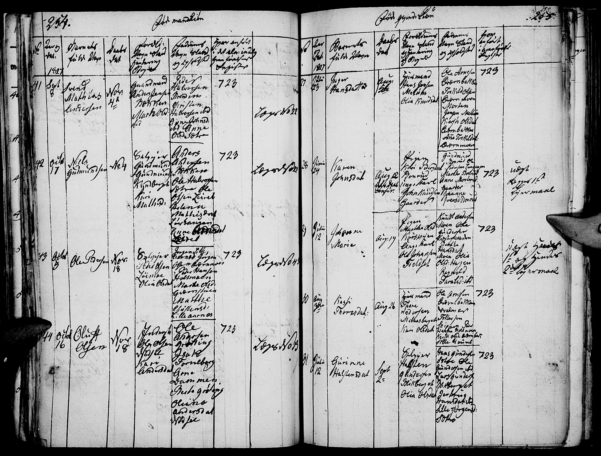 Elverum prestekontor, AV/SAH-PREST-044/H/Ha/Haa/L0007: Parish register (official) no. 7, 1815-1830, p. 254-255