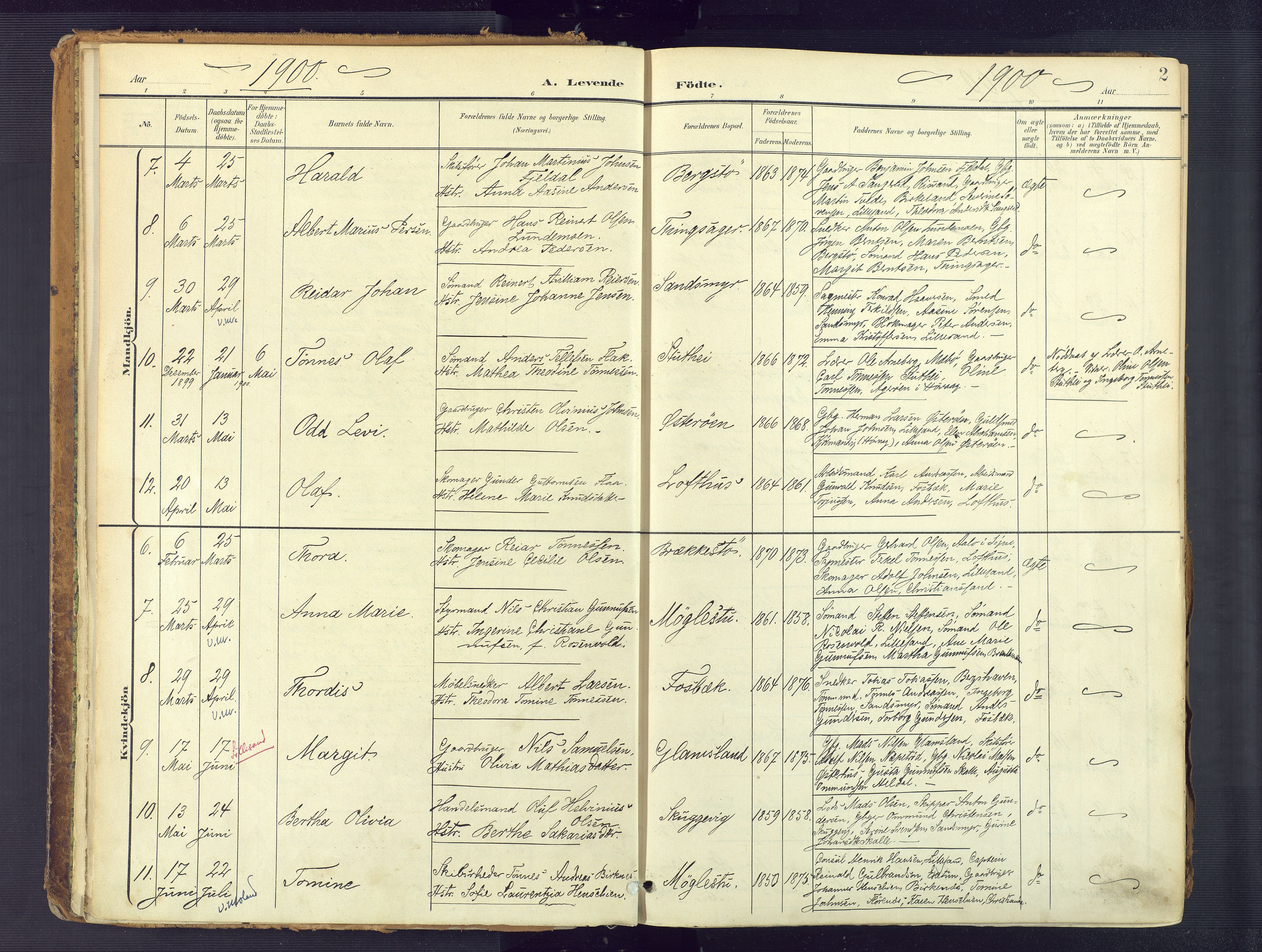 Vestre Moland sokneprestkontor, AV/SAK-1111-0046/F/Fa/Fab/L0010: Parish register (official) no. A 10, 1900-1926, p. 2