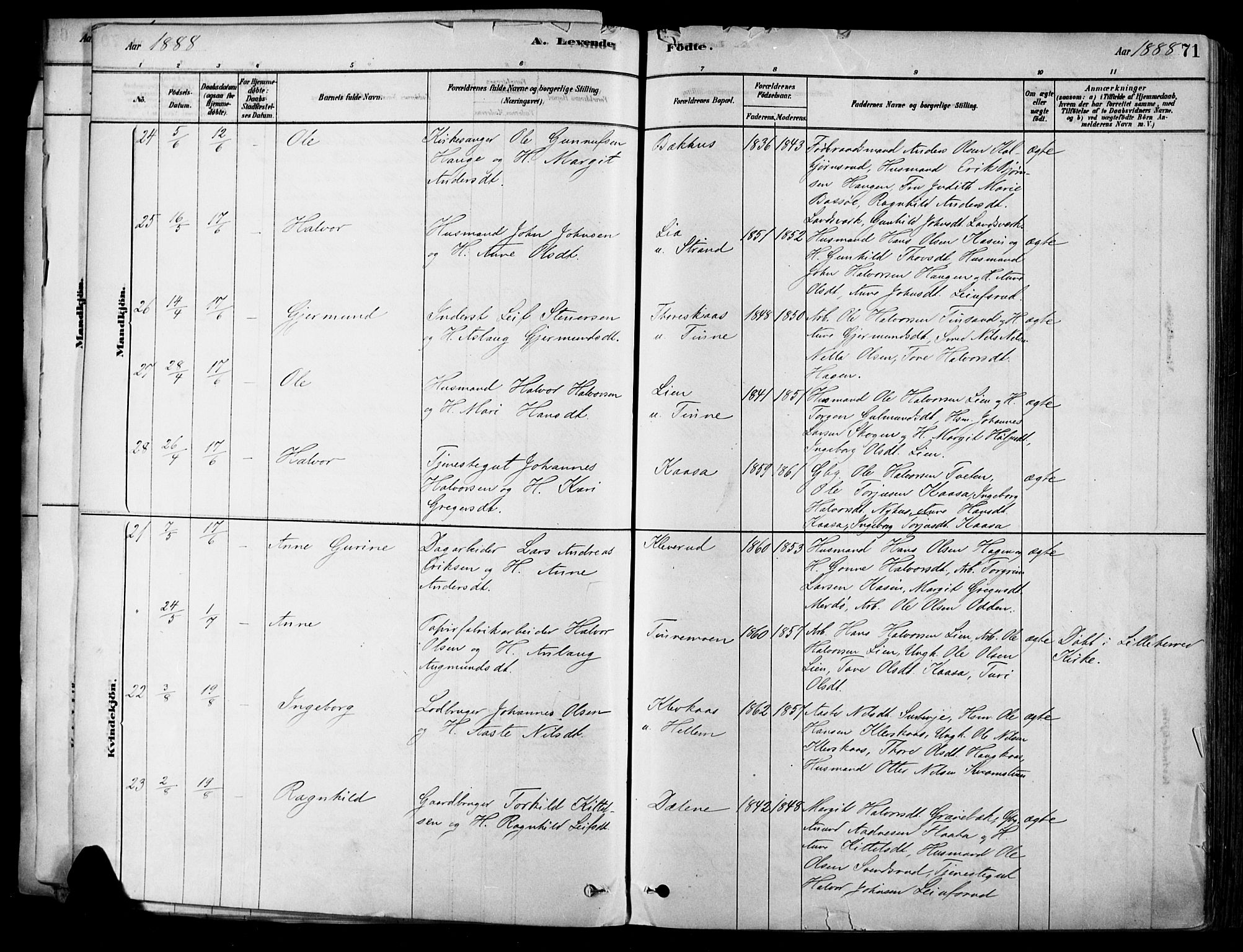 Heddal kirkebøker, AV/SAKO-A-268/F/Fa/L0008: Parish register (official) no. I 8, 1878-1903, p. 71