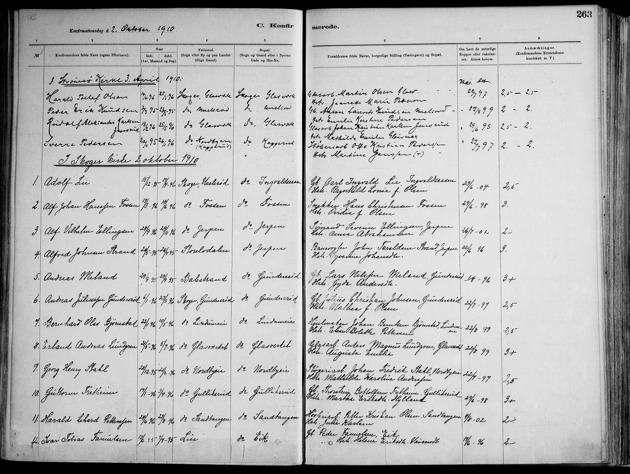 Skoger kirkebøker, AV/SAKO-A-59/F/Fa/L0006: Parish register (official) no. I 6, 1885-1910, p. 263