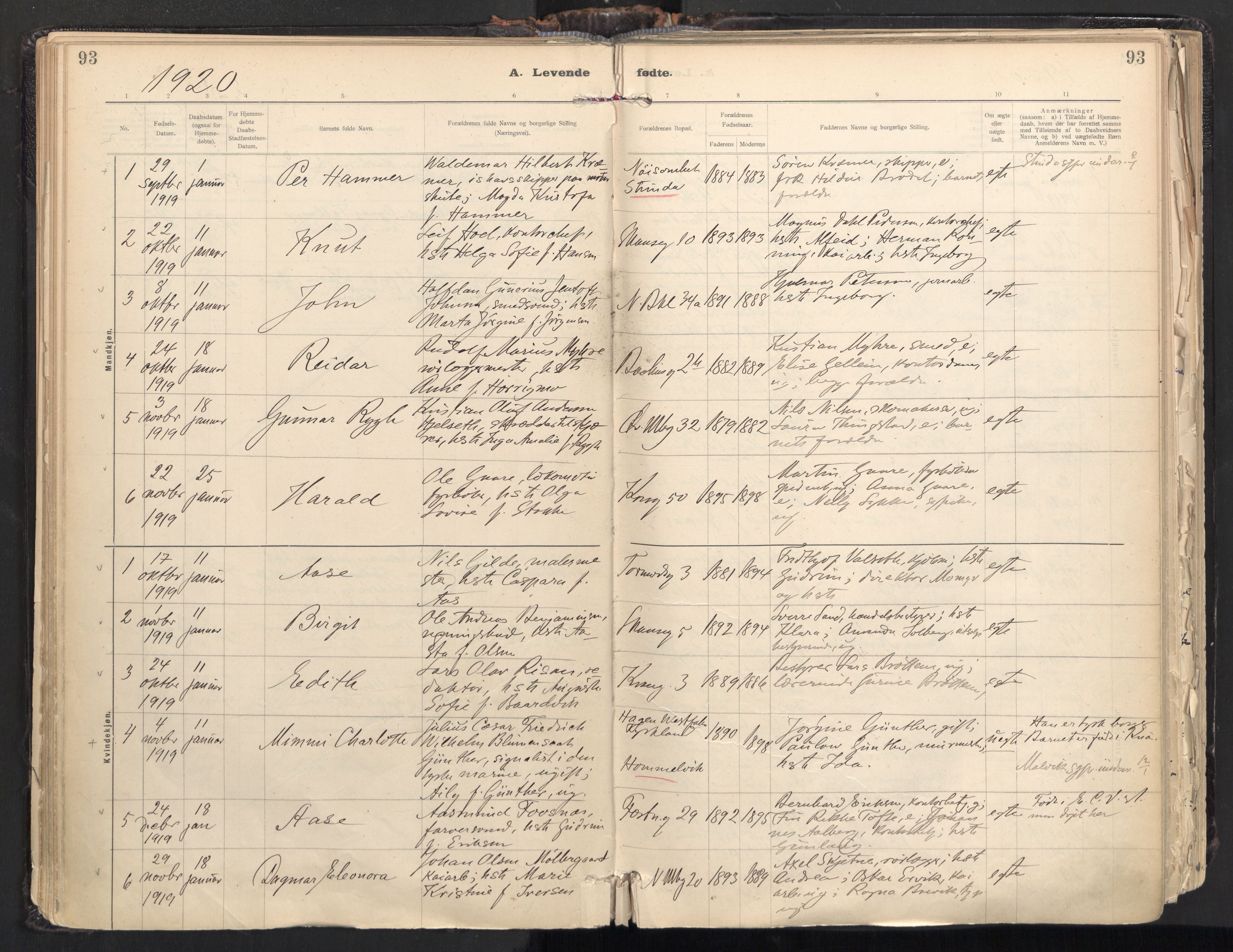 Ministerialprotokoller, klokkerbøker og fødselsregistre - Sør-Trøndelag, SAT/A-1456/604/L0205: Parish register (official) no. 604A25, 1917-1932, p. 93