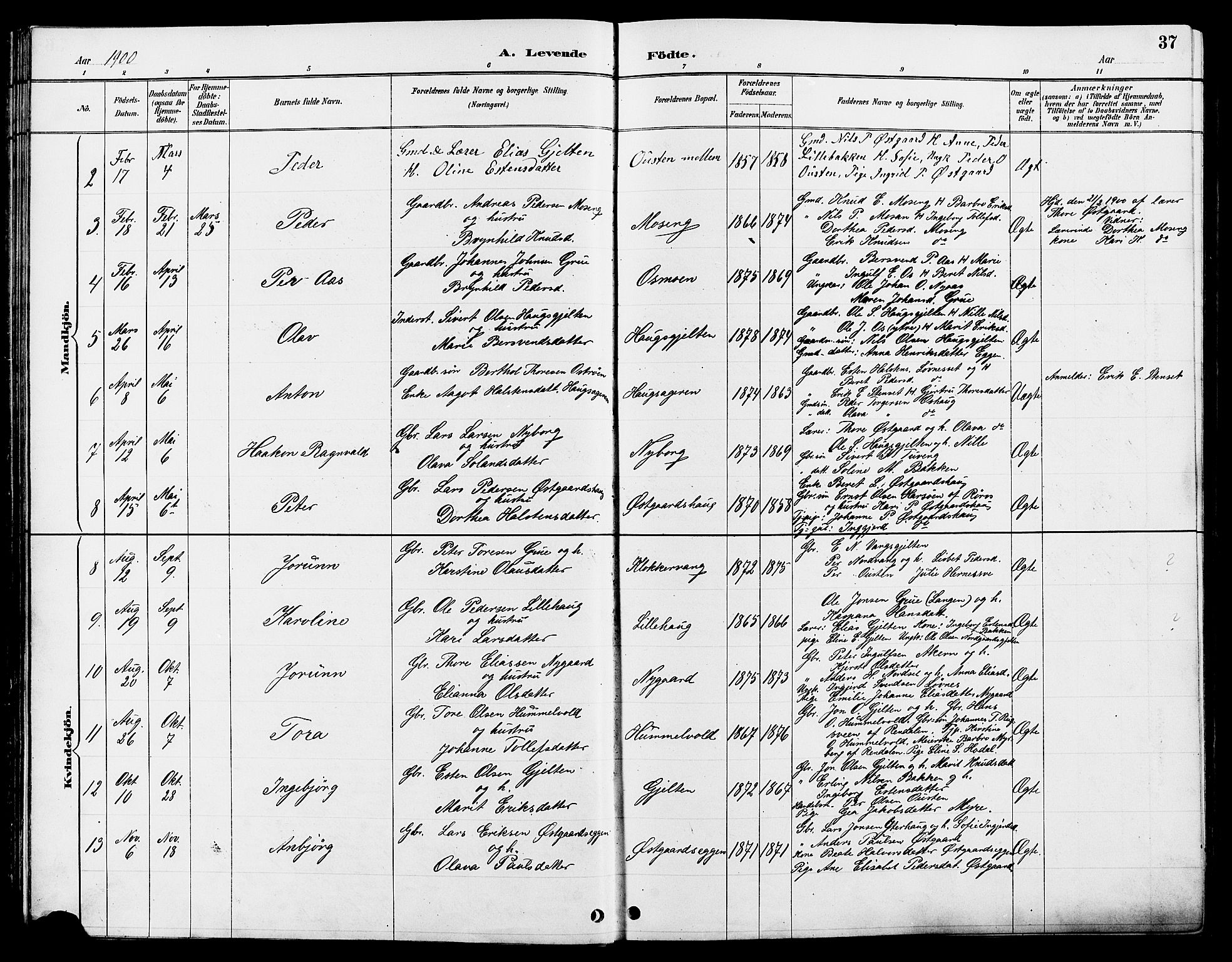 Tolga prestekontor, AV/SAH-PREST-062/L/L0008: Parish register (copy) no. 8, 1887-1912, p. 37