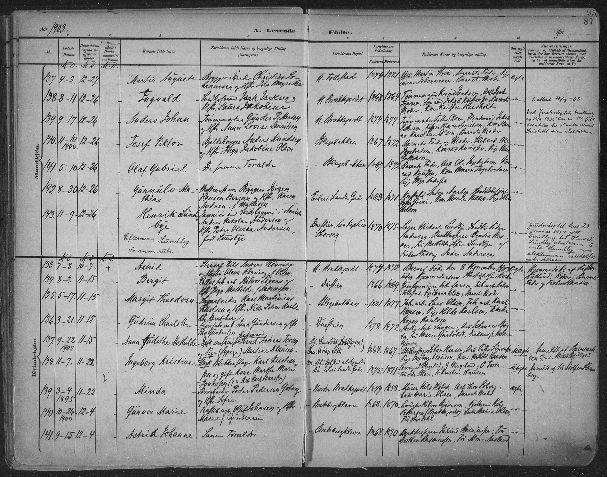 Skien kirkebøker, AV/SAKO-A-302/F/Fa/L0011: Parish register (official) no. 11, 1900-1907, p. 87