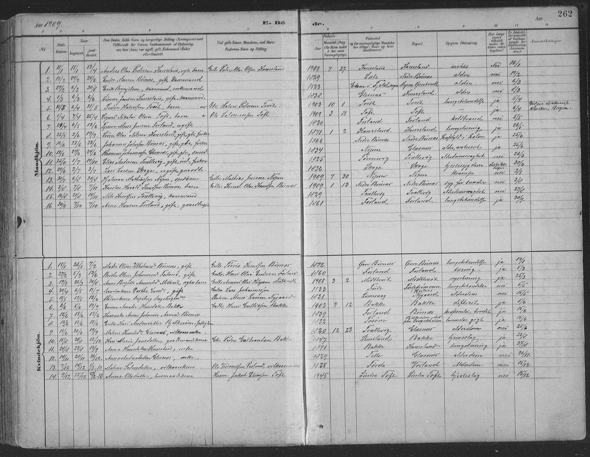 Sund sokneprestembete, AV/SAB-A-99930: Parish register (copy) no. B 3, 1882-1911, p. 262