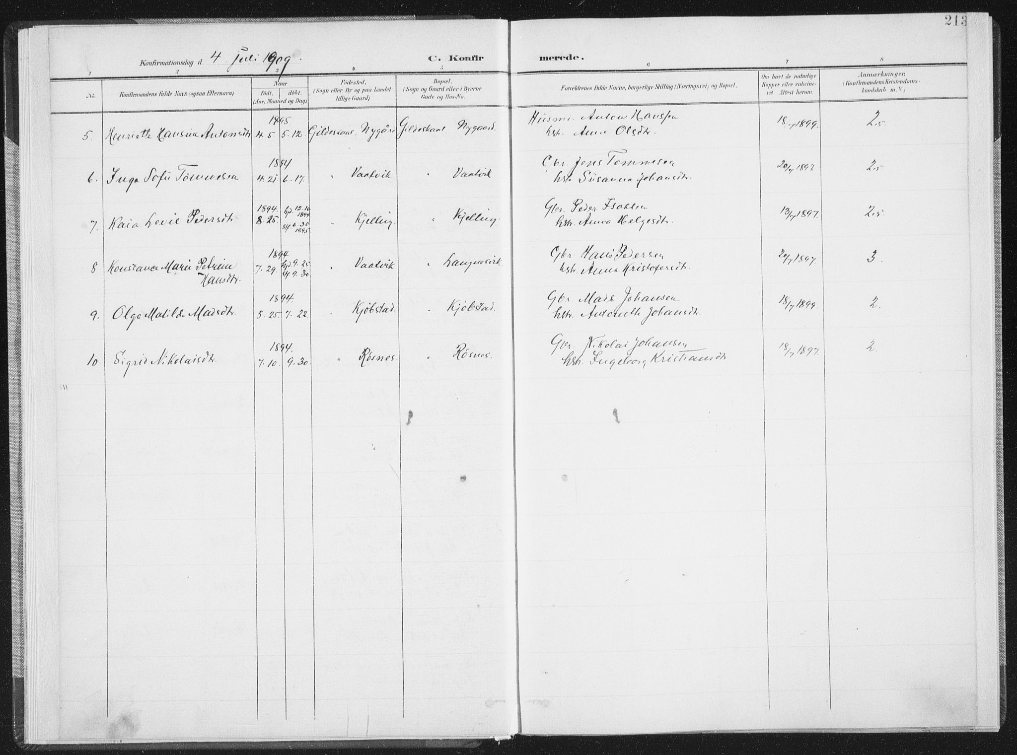 Ministerialprotokoller, klokkerbøker og fødselsregistre - Nordland, AV/SAT-A-1459/805/L0103: Parish register (official) no. 805A08II, 1900-1909, p. 213