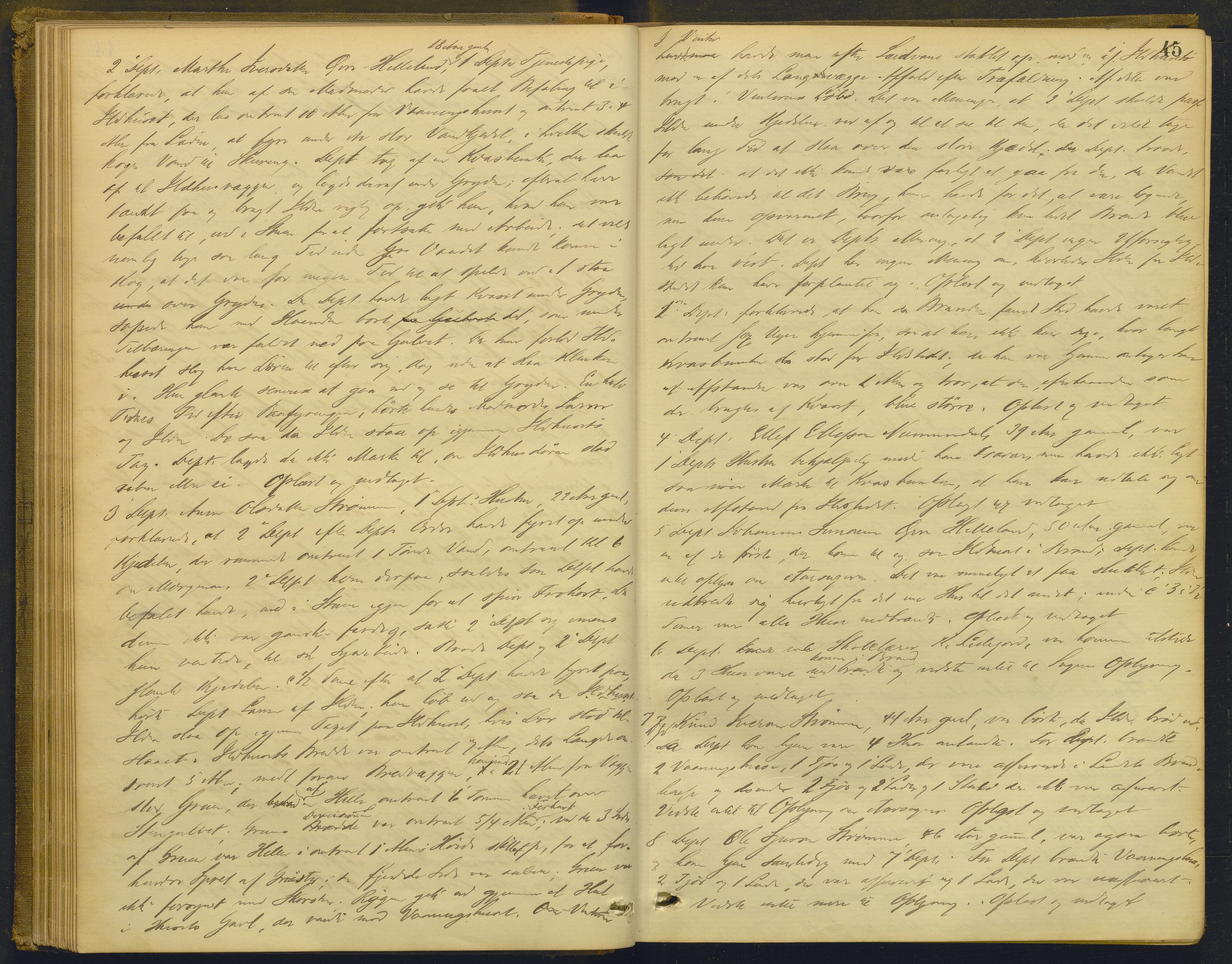 Nordhordland sorenskrivar, AV/SAB-A-2901/1/F/Fd/Fdd/L0004: Ekstrarettsprotokollar, forhøyr, 1880-1884, p. 44b-45a