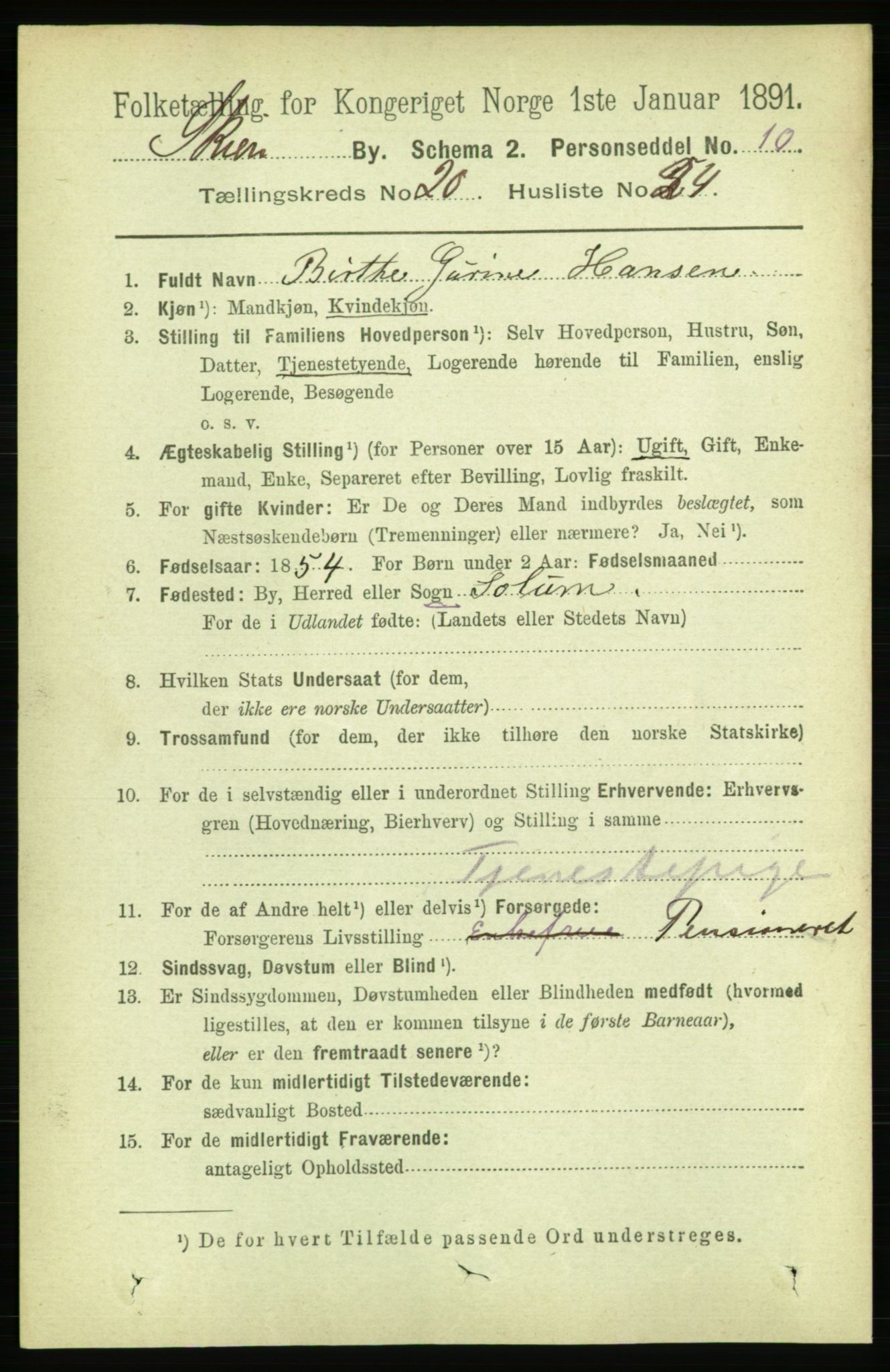 RA, 1891 census for 0806 Skien, 1891, p. 5397