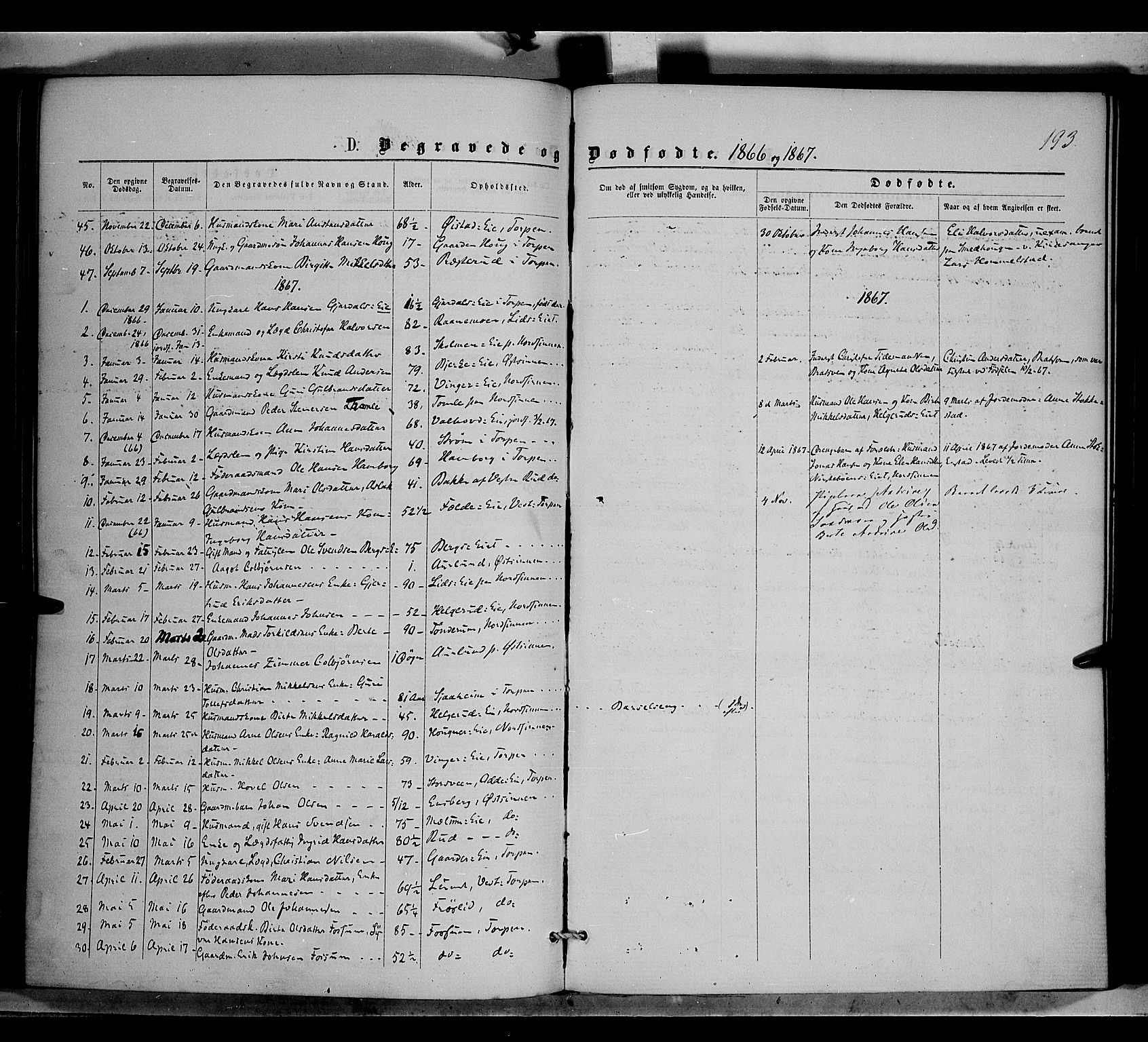 Nordre Land prestekontor, SAH/PREST-124/H/Ha/Haa/L0001: Parish register (official) no. 1, 1860-1871, p. 193