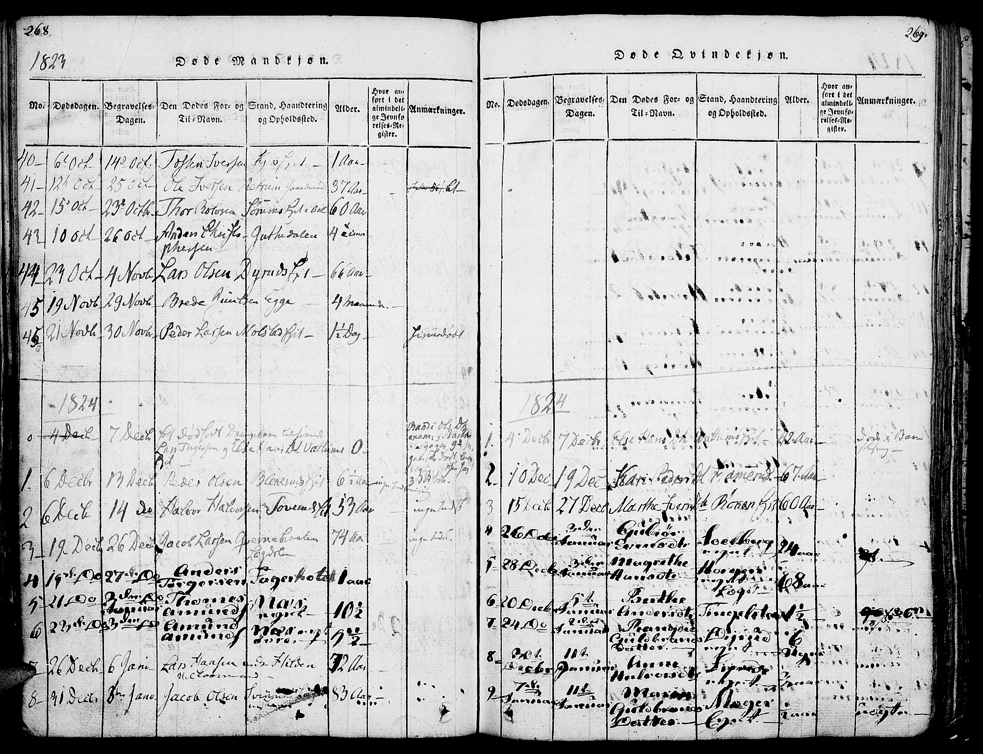 Gran prestekontor, SAH/PREST-112/H/Ha/Haa/L0009: Parish register (official) no. 9, 1815-1824, p. 268-269