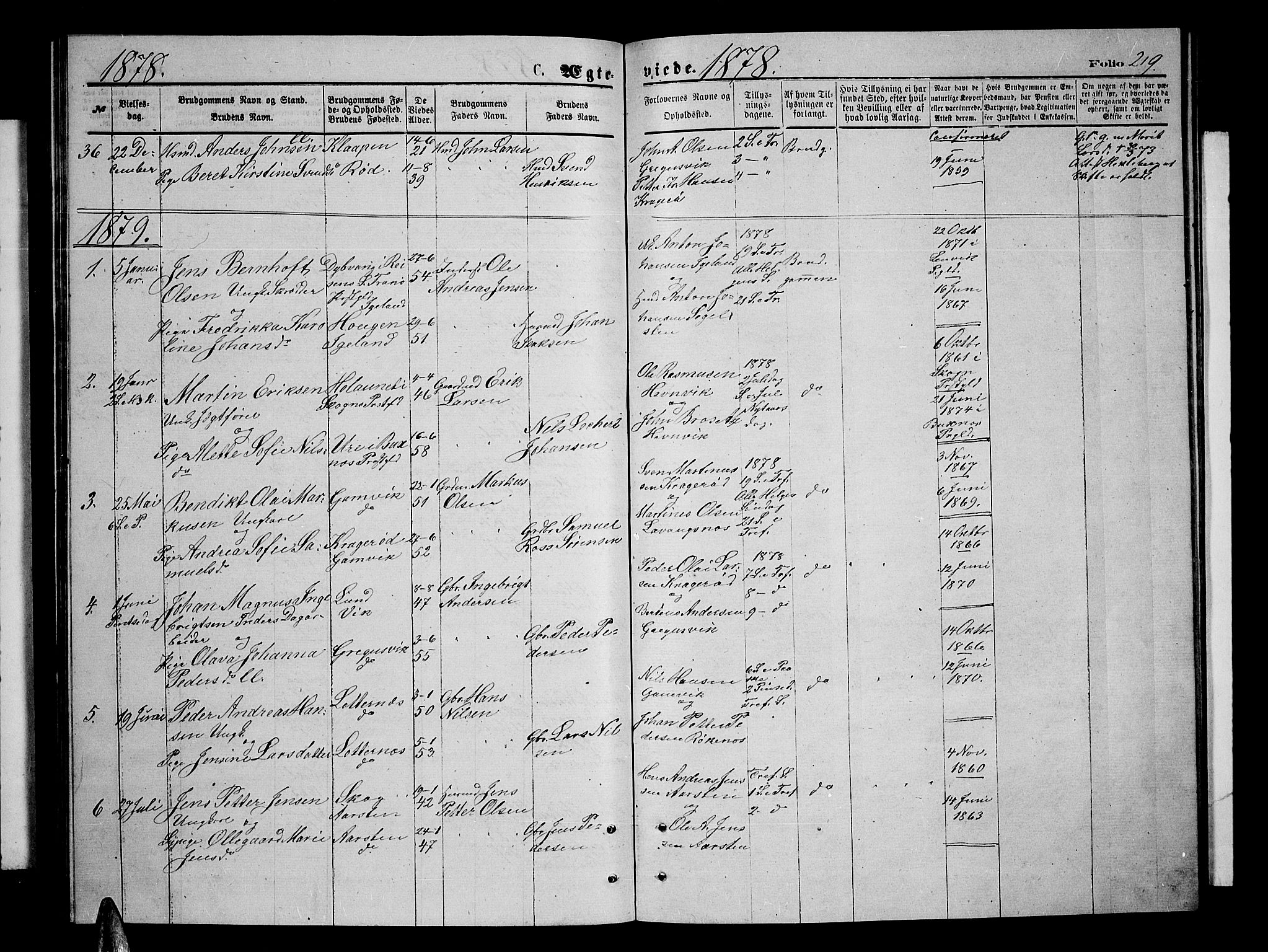 Ibestad sokneprestembete, SATØ/S-0077/H/Ha/Hab/L0006klokker: Parish register (copy) no. 6, 1871-1879, p. 219