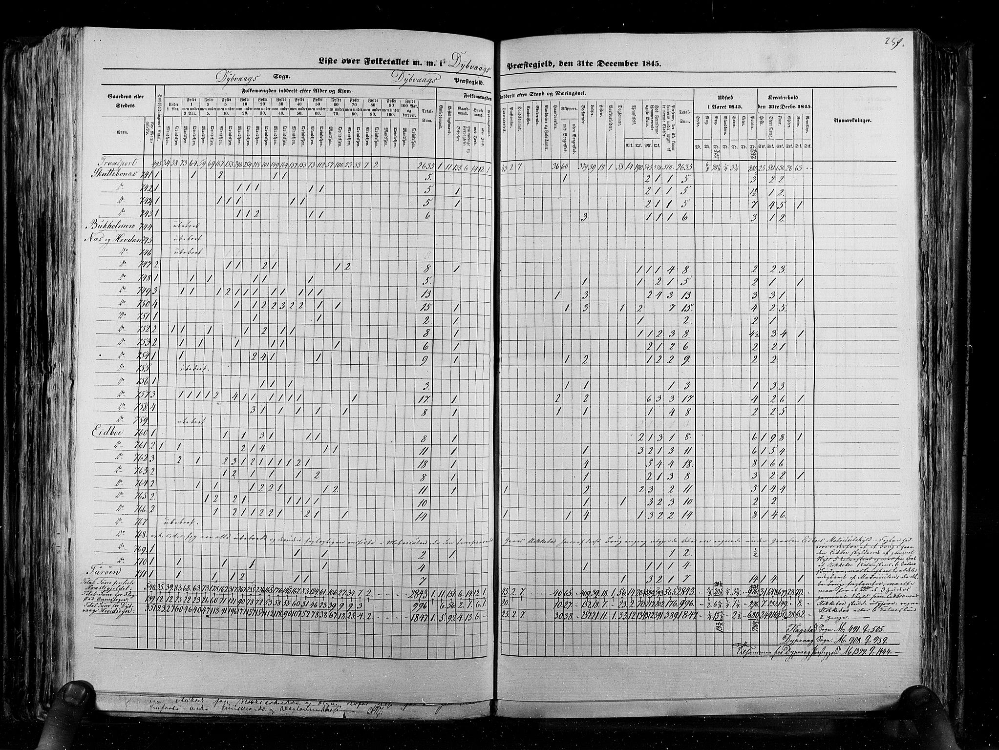 RA, Census 1845, vol. 5: Bratsberg amt og Nedenes og Råbyggelaget amt, 1845, p. 259