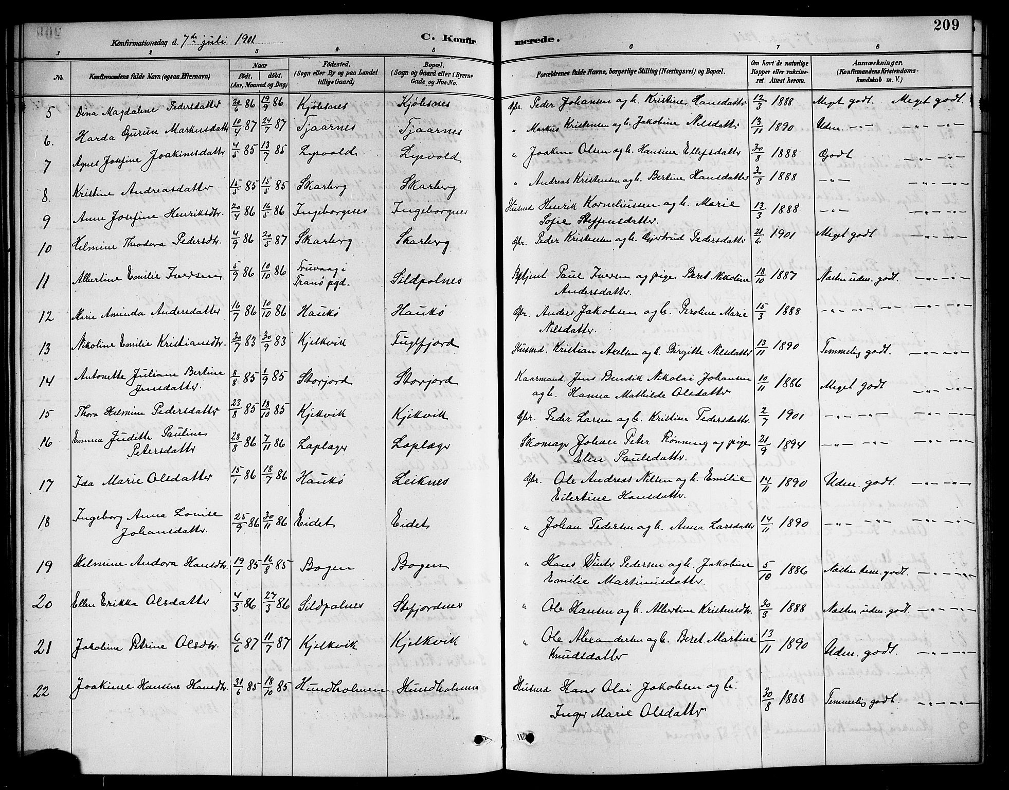 Ministerialprotokoller, klokkerbøker og fødselsregistre - Nordland, AV/SAT-A-1459/861/L0876: Parish register (copy) no. 861C02, 1887-1903, p. 209