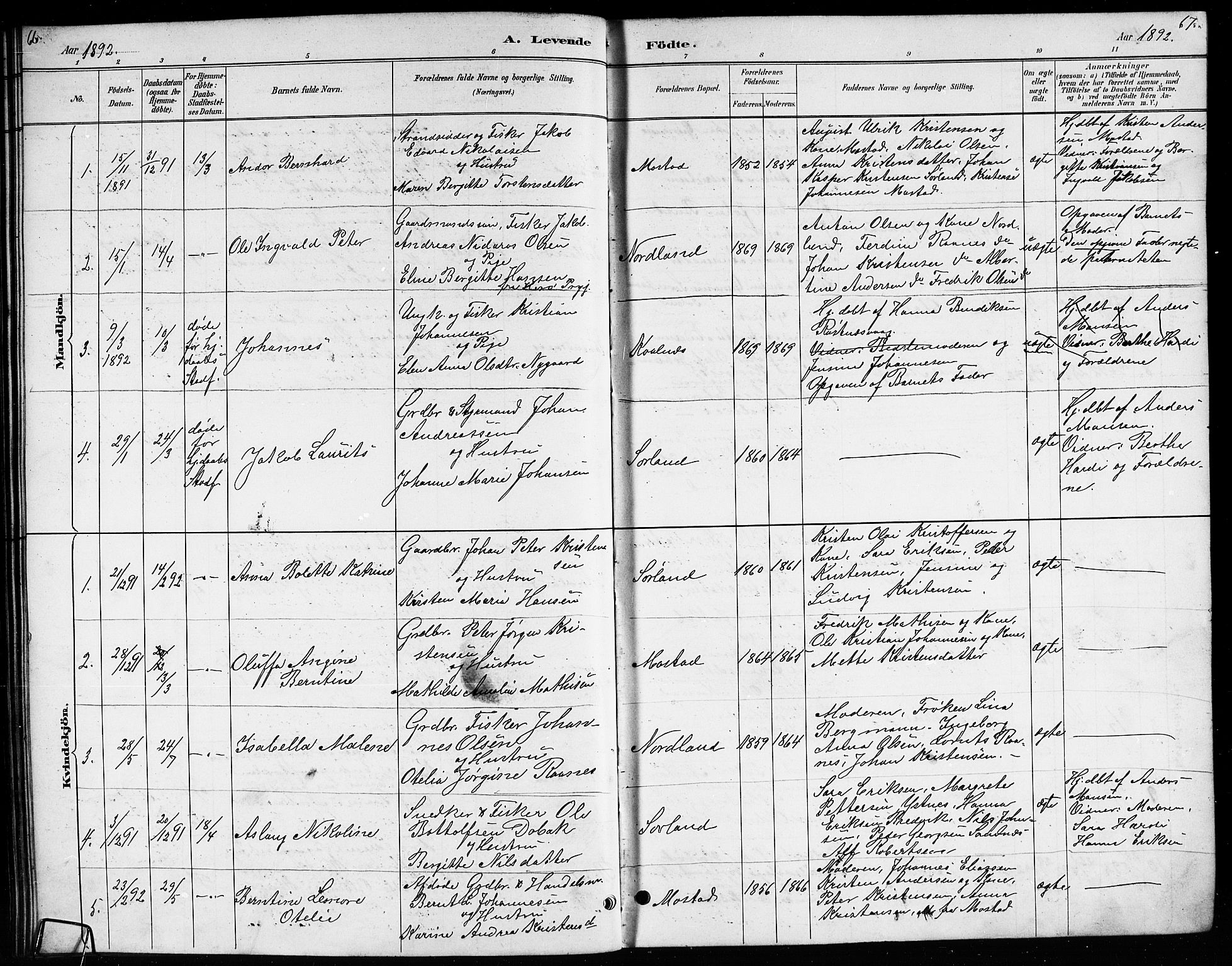 Ministerialprotokoller, klokkerbøker og fødselsregistre - Nordland, AV/SAT-A-1459/807/L0123: Parish register (copy) no. 807C01, 1884-1910, p. 66-67