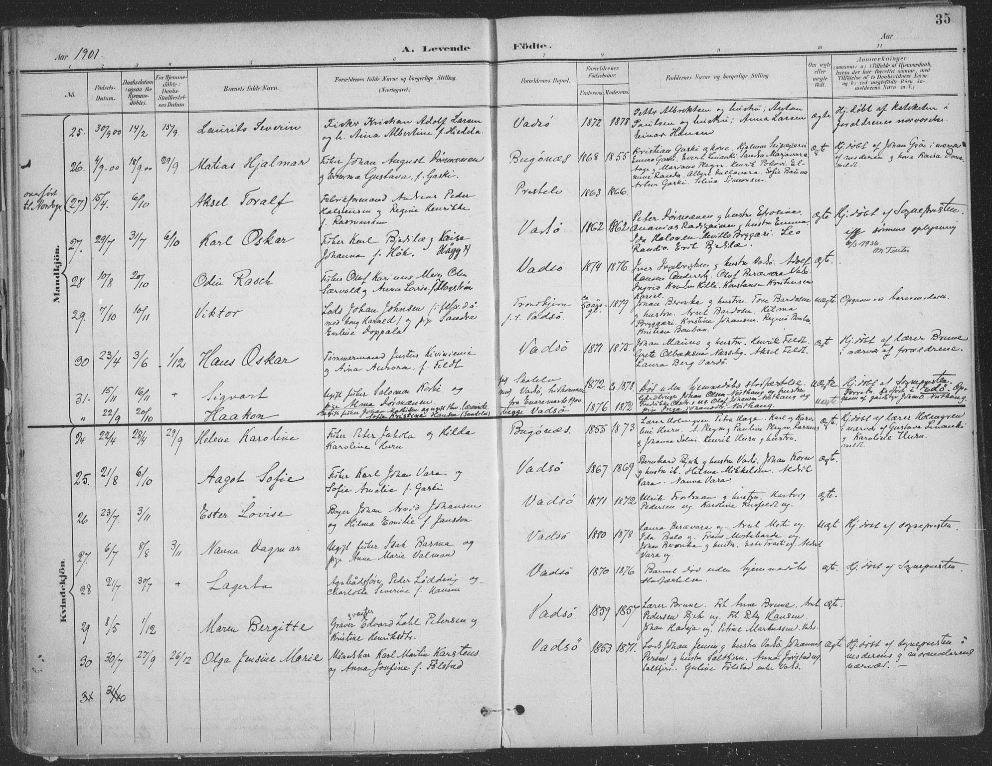 Vadsø sokneprestkontor, AV/SATØ-S-1325/H/Ha/L0007kirke: Parish register (official) no. 7, 1896-1916, p. 35
