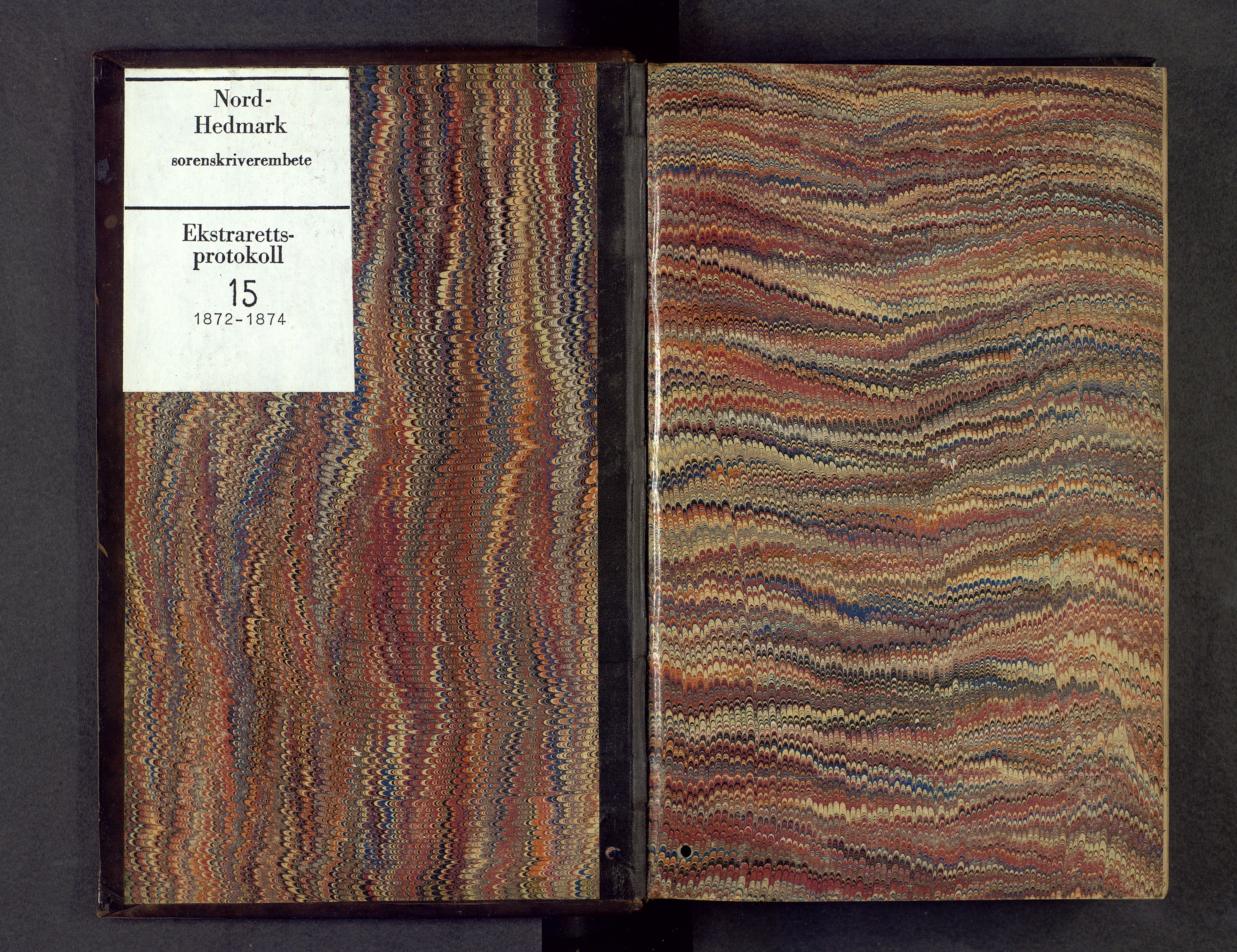 Nord-Hedmark sorenskriveri, AV/SAH-TING-012/G/Gc/L0015: Ekstrarettsprotokoll, 1872-1874