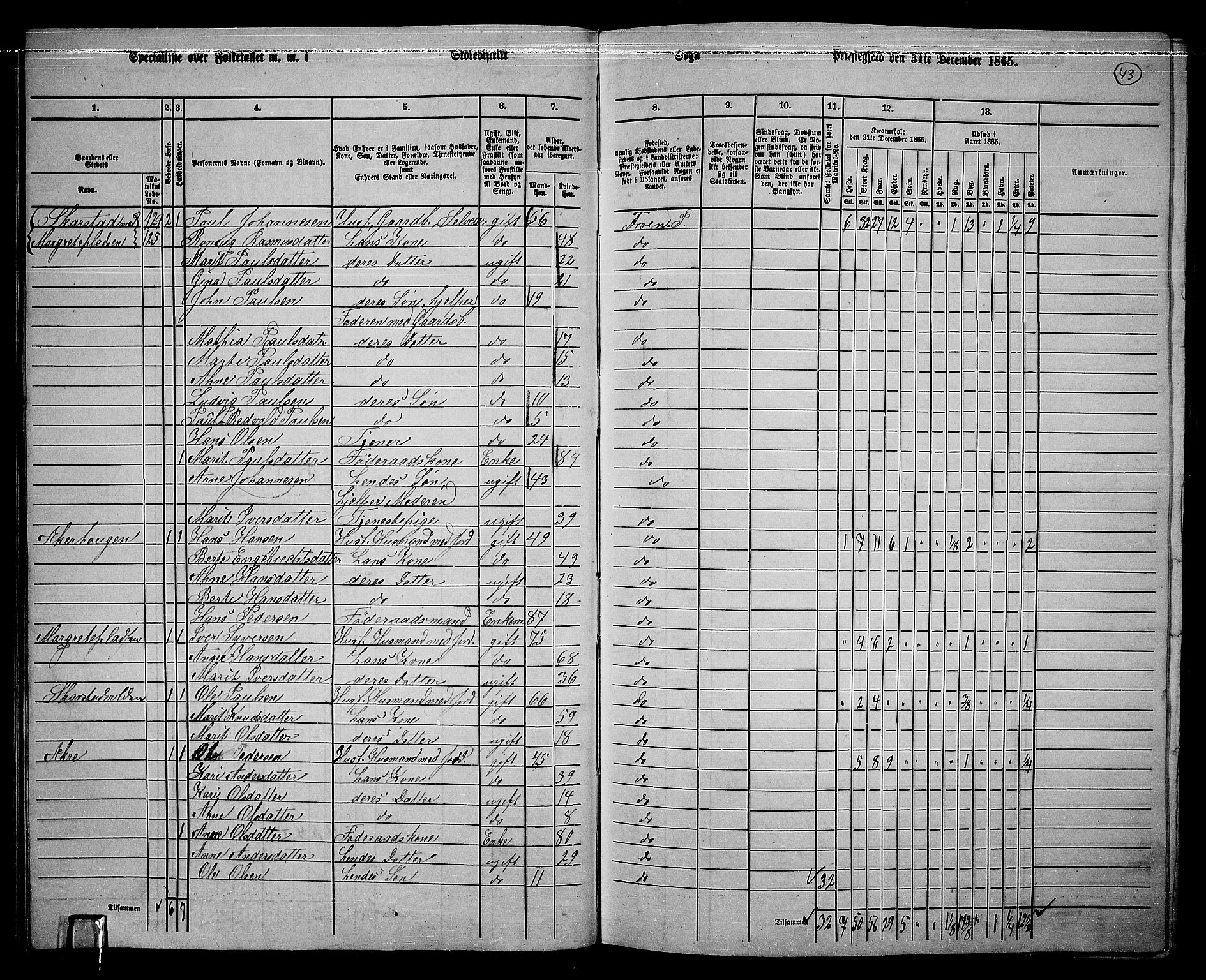 RA, 1865 census for Sør-Fron, 1865, p. 38