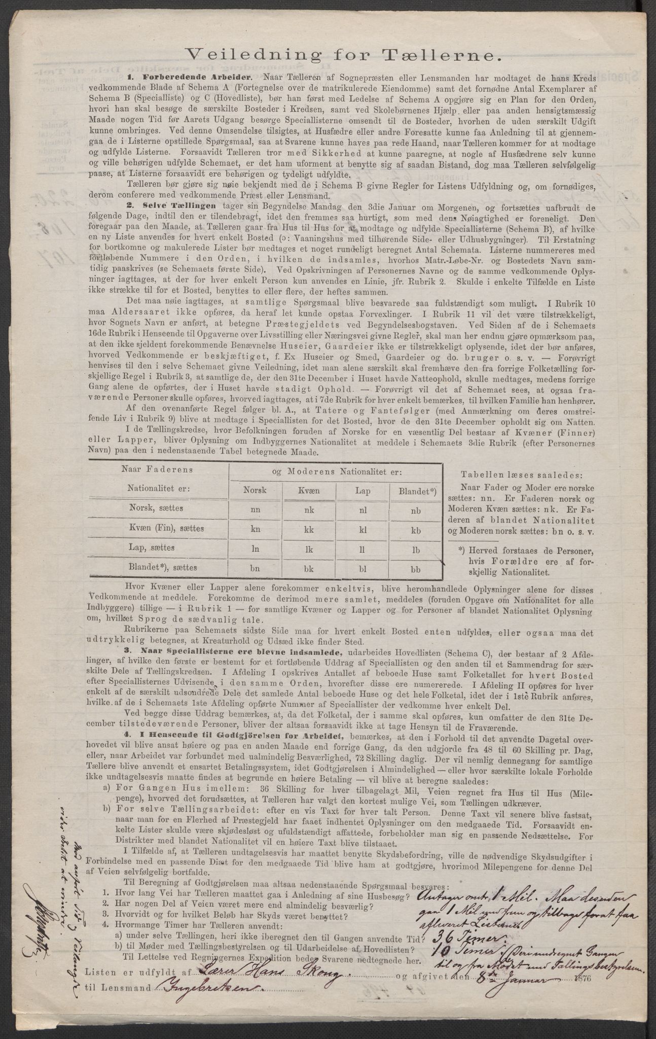 RA, 1875 census for 0113P Borge, 1875, p. 11