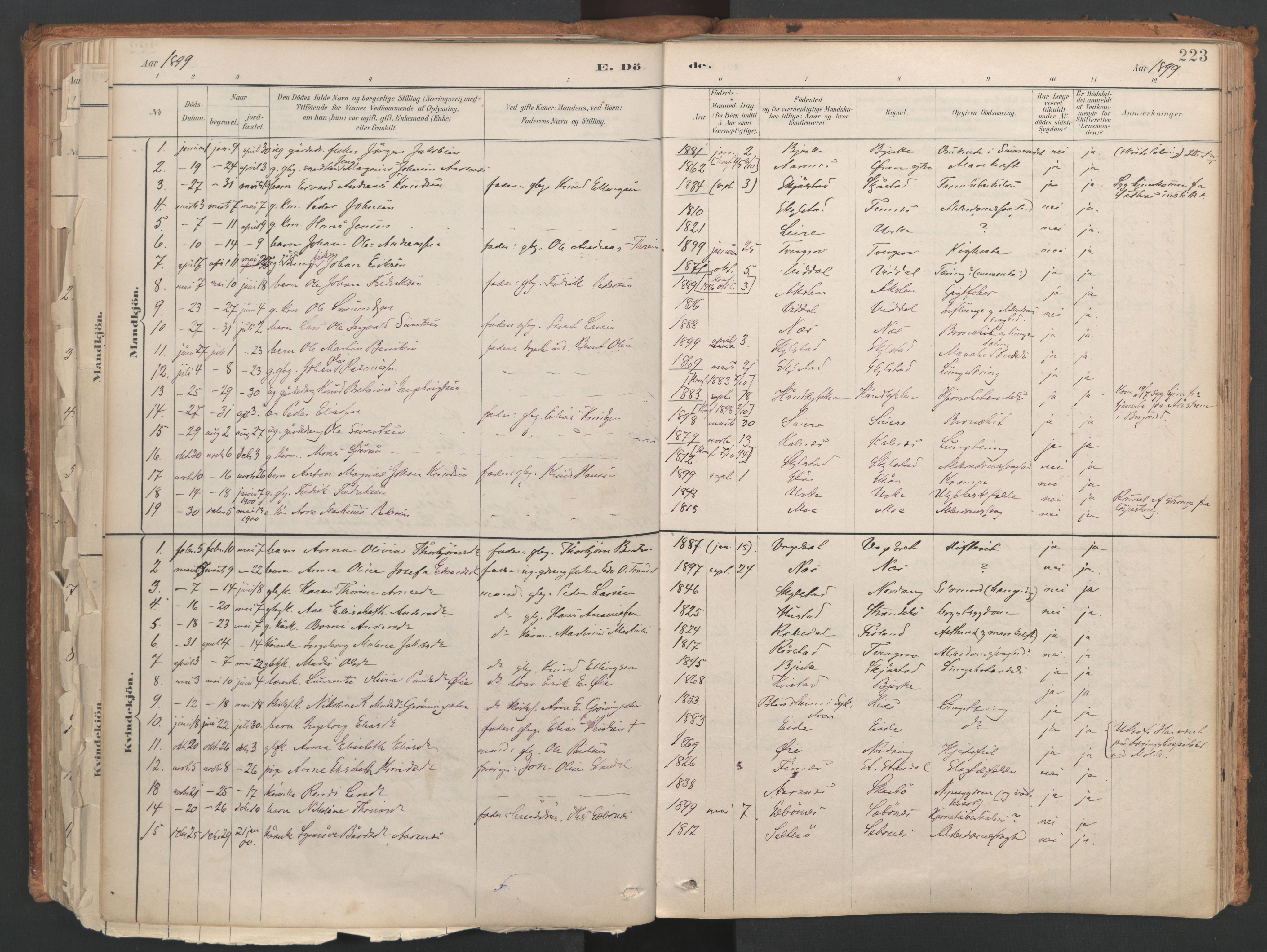 Ministerialprotokoller, klokkerbøker og fødselsregistre - Møre og Romsdal, SAT/A-1454/515/L0211: Parish register (official) no. 515A07, 1886-1910, p. 223