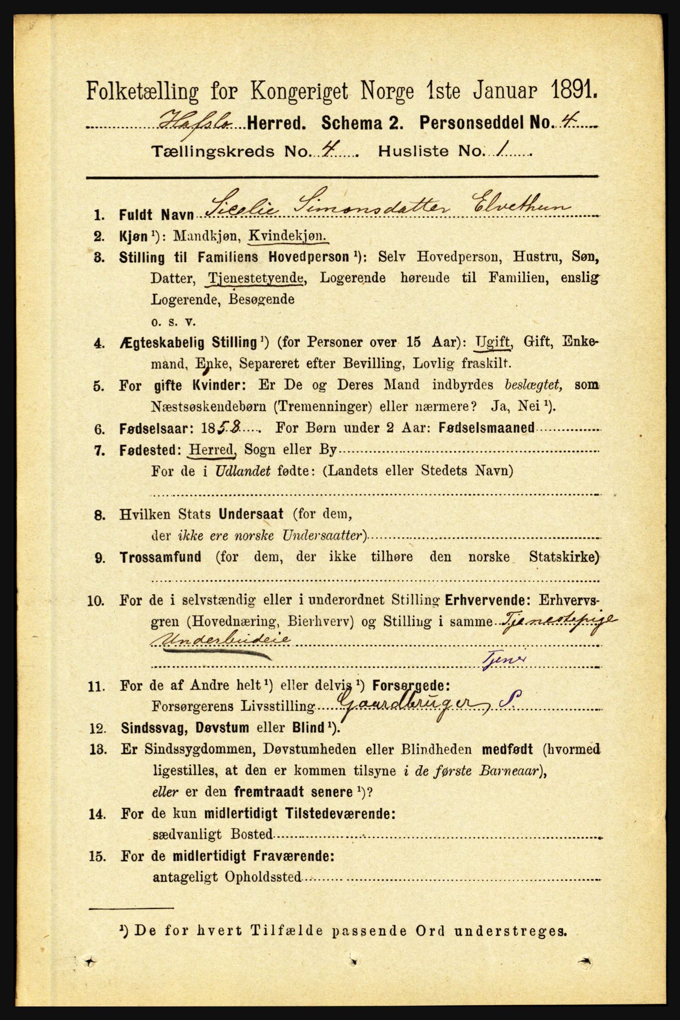 RA, 1891 census for 1425 Hafslo, 1891, p. 1578