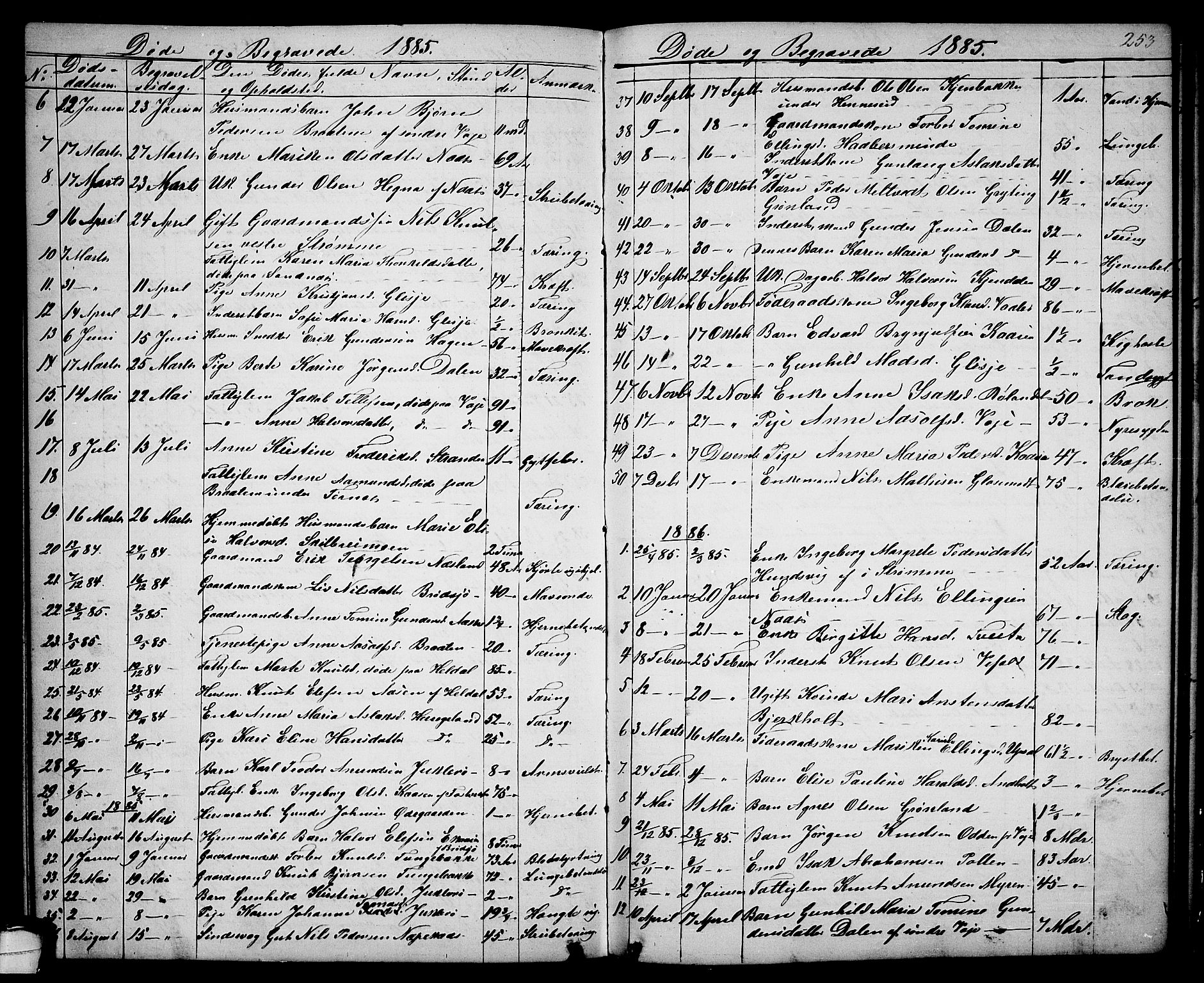 Drangedal kirkebøker, SAKO/A-258/G/Ga/L0002: Parish register (copy) no. I 2, 1856-1887, p. 253