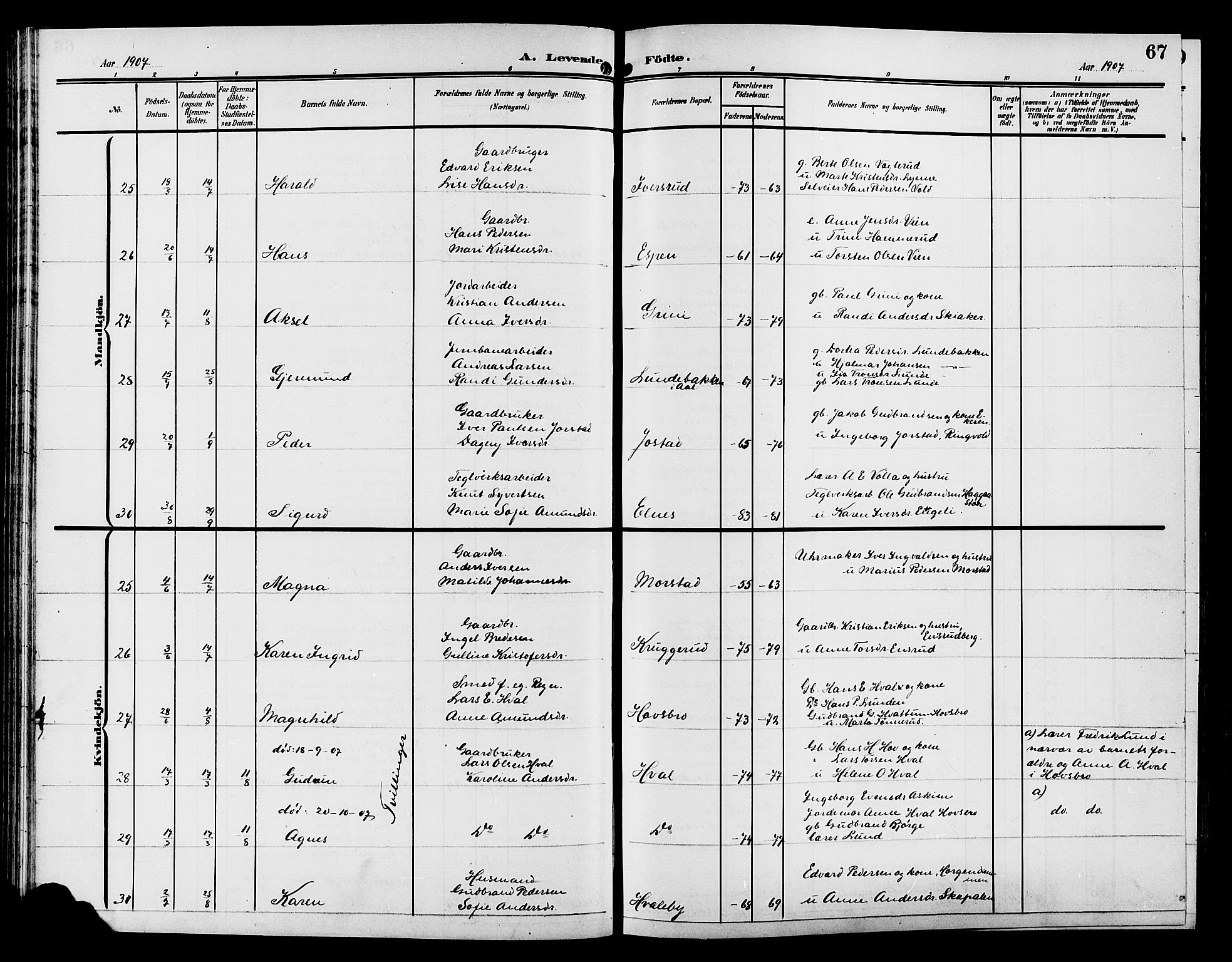 Gran prestekontor, AV/SAH-PREST-112/H/Ha/Hab/L0006: Parish register (copy) no. 6, 1901-1911, p. 67