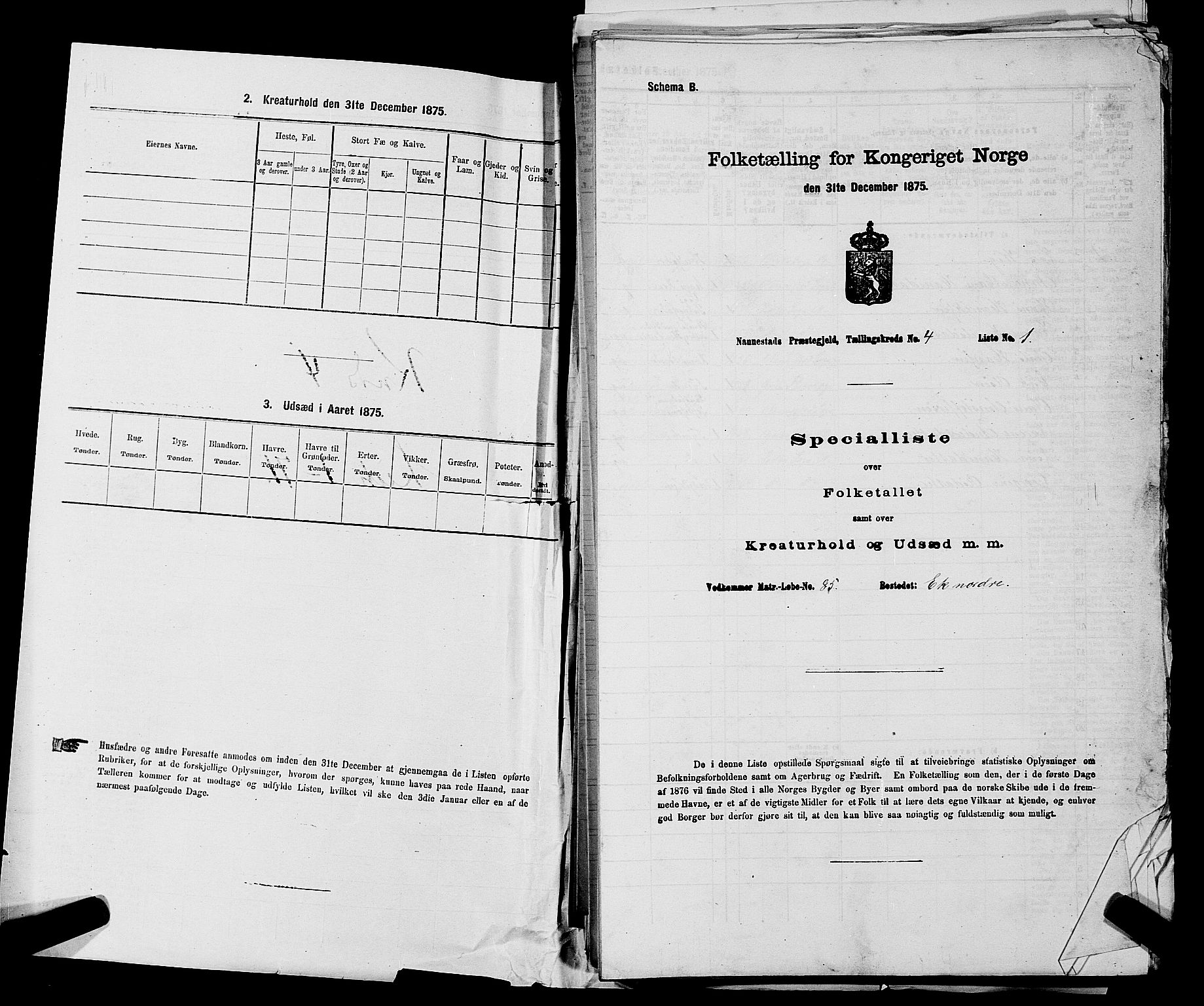 RA, 1875 census for 0238P Nannestad, 1875, p. 565