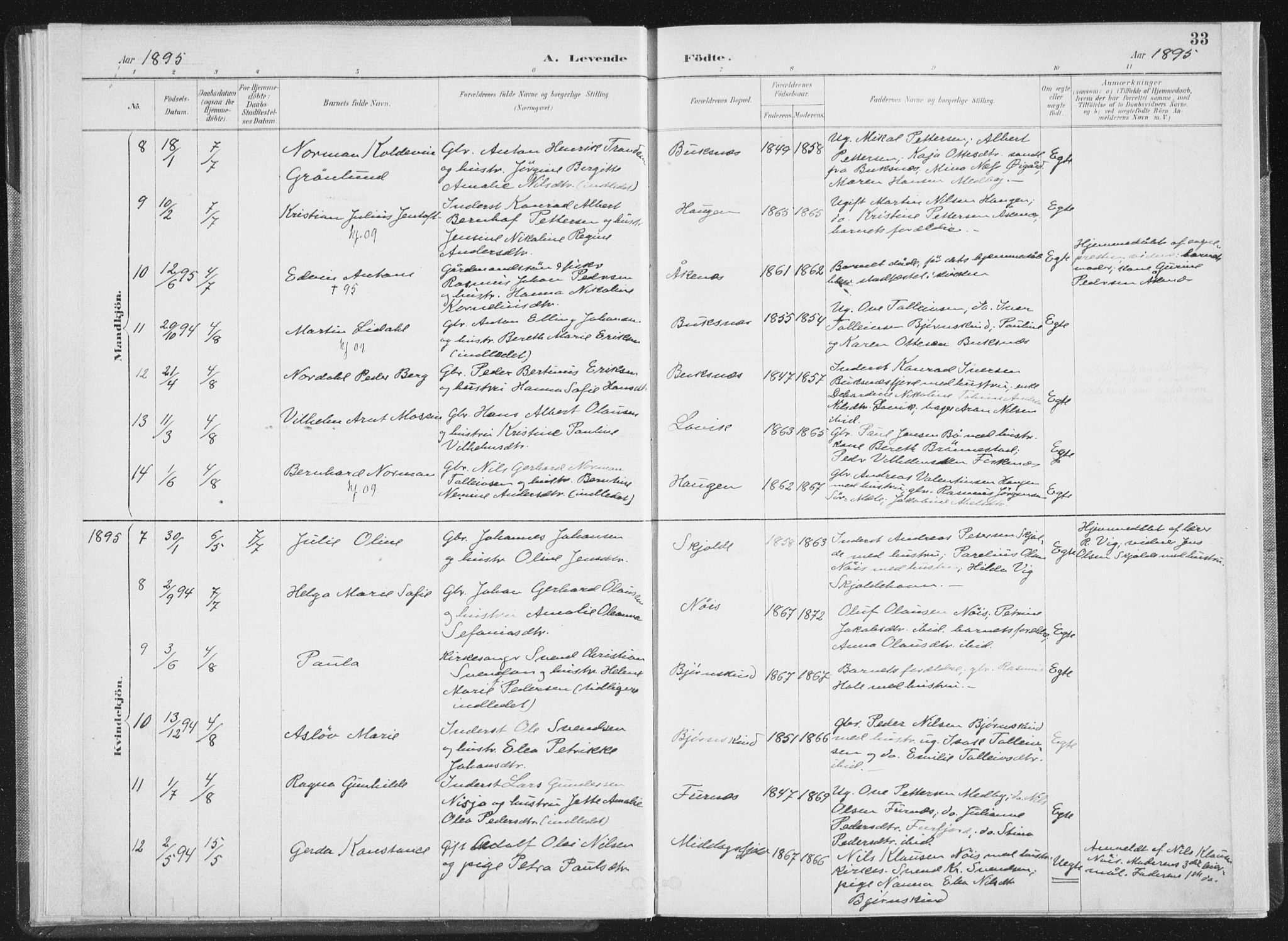 Ministerialprotokoller, klokkerbøker og fødselsregistre - Nordland, SAT/A-1459/898/L1422: Parish register (official) no. 898A02, 1887-1908, p. 33