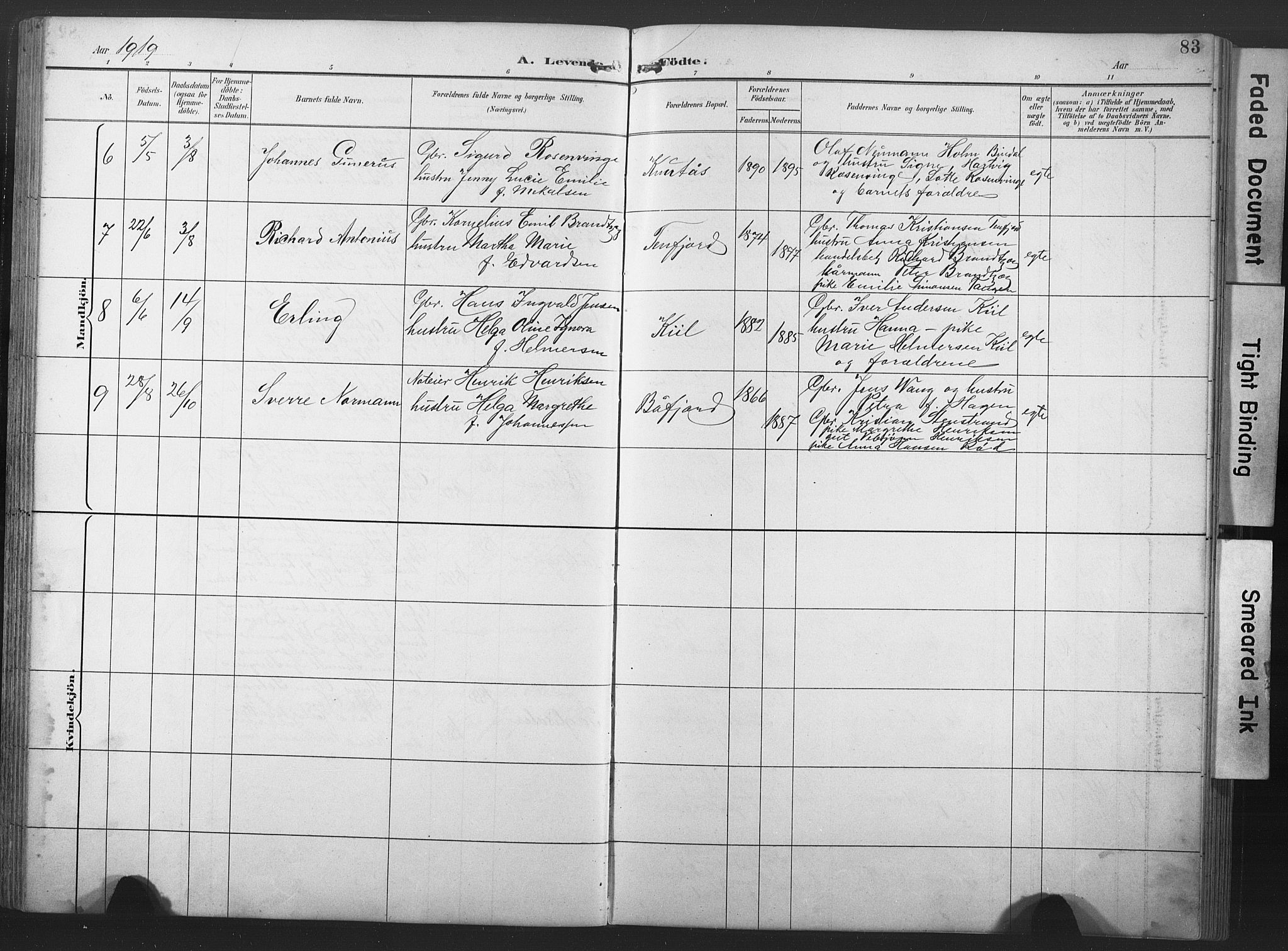 Ministerialprotokoller, klokkerbøker og fødselsregistre - Nord-Trøndelag, SAT/A-1458/789/L0706: Parish register (copy) no. 789C01, 1888-1931, p. 83