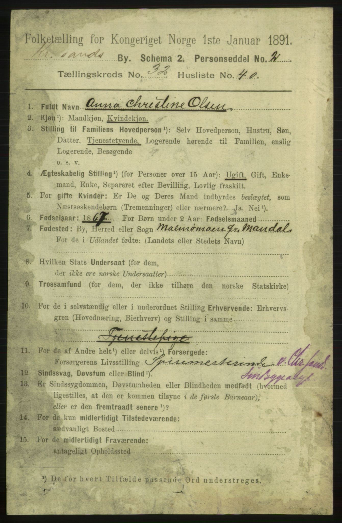 RA, 1891 census for 1001 Kristiansand, 1891, p. 10678