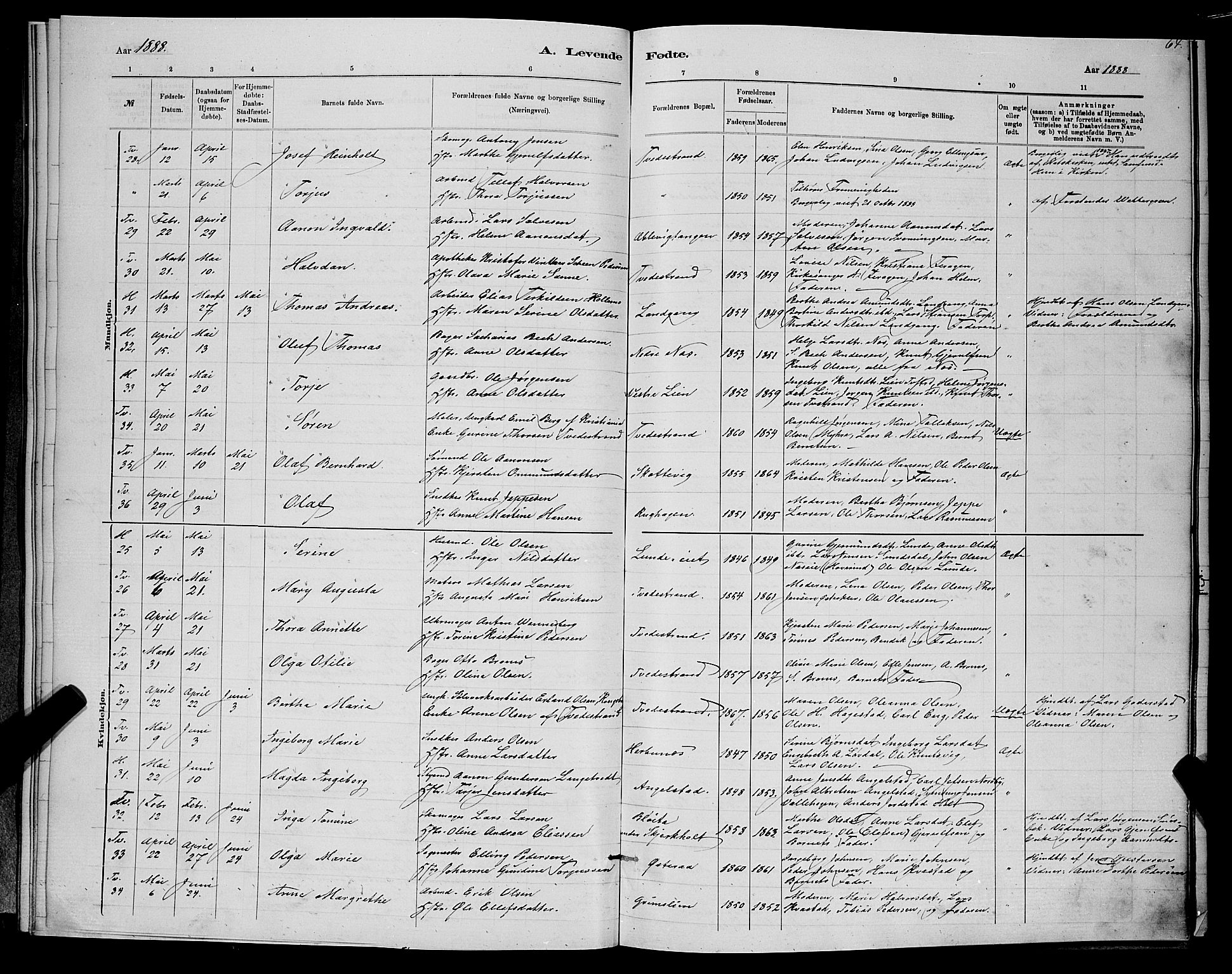 Holt sokneprestkontor, SAK/1111-0021/F/Fb/L0010: Parish register (copy) no. B 10, 1883-1896, p. 64