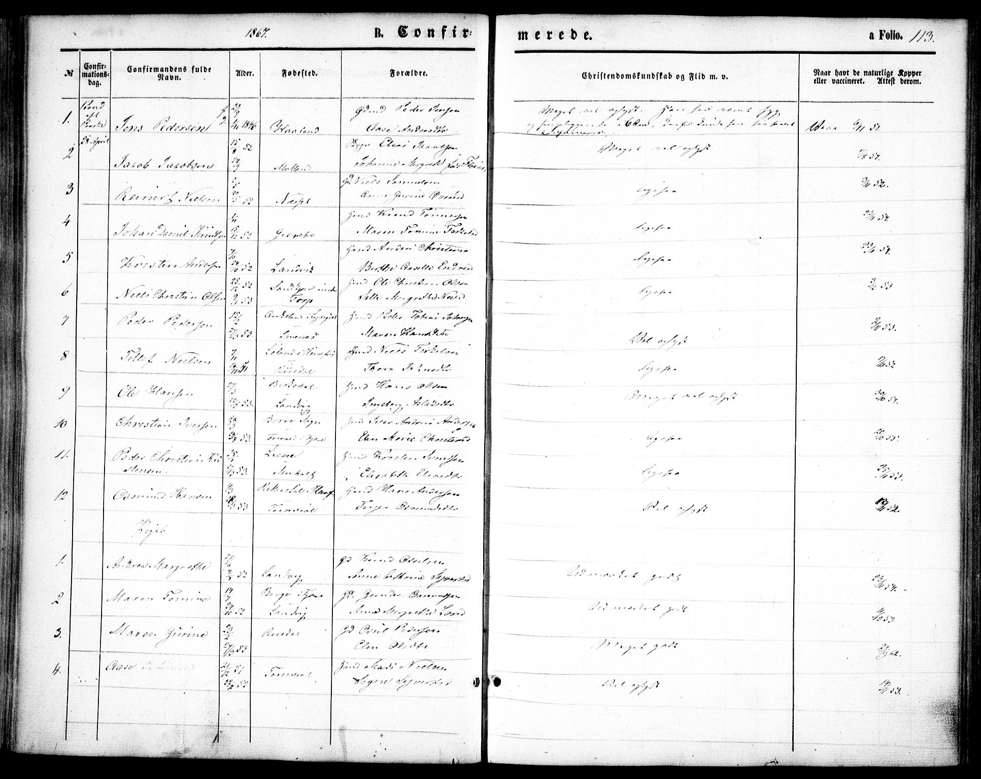 Hommedal sokneprestkontor, AV/SAK-1111-0023/F/Fa/Fab/L0005: Parish register (official) no. A 5, 1861-1877, p. 113