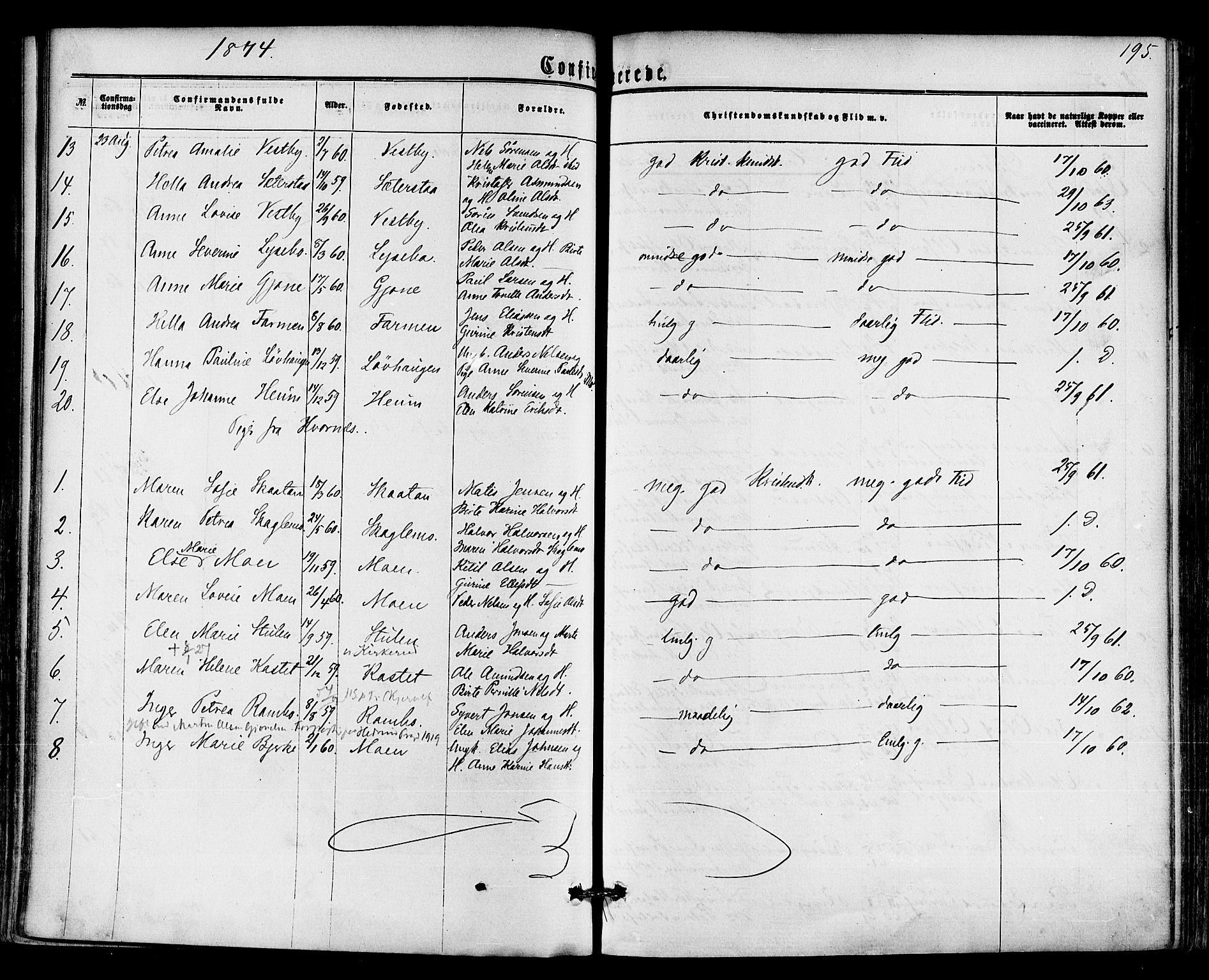 Hedrum kirkebøker, AV/SAKO-A-344/F/Fa/L0008: Parish register (official) no. I 8, 1869-1880, p. 195