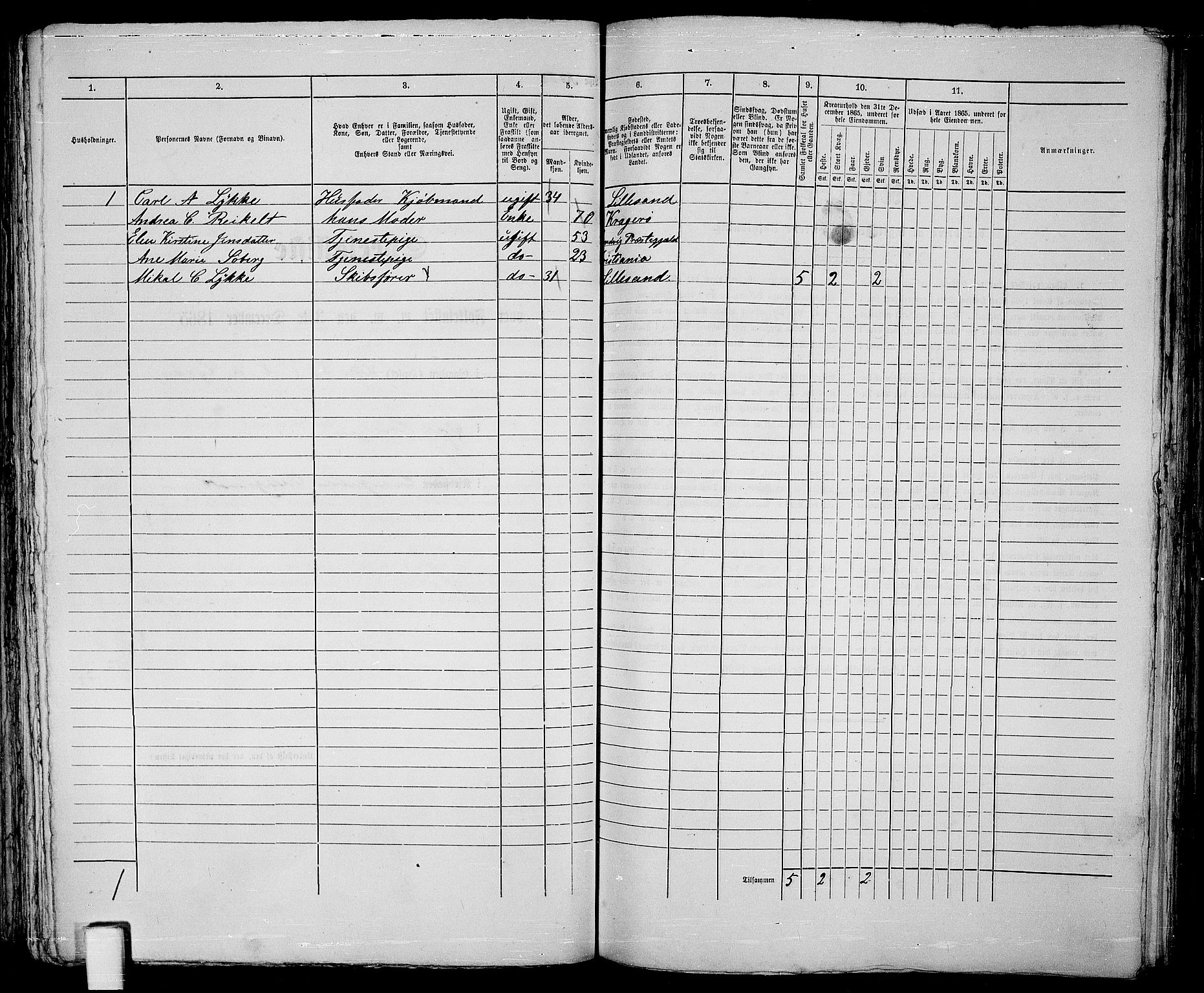 RA, 1865 census for Vestre Moland/Lillesand, 1865, p. 125