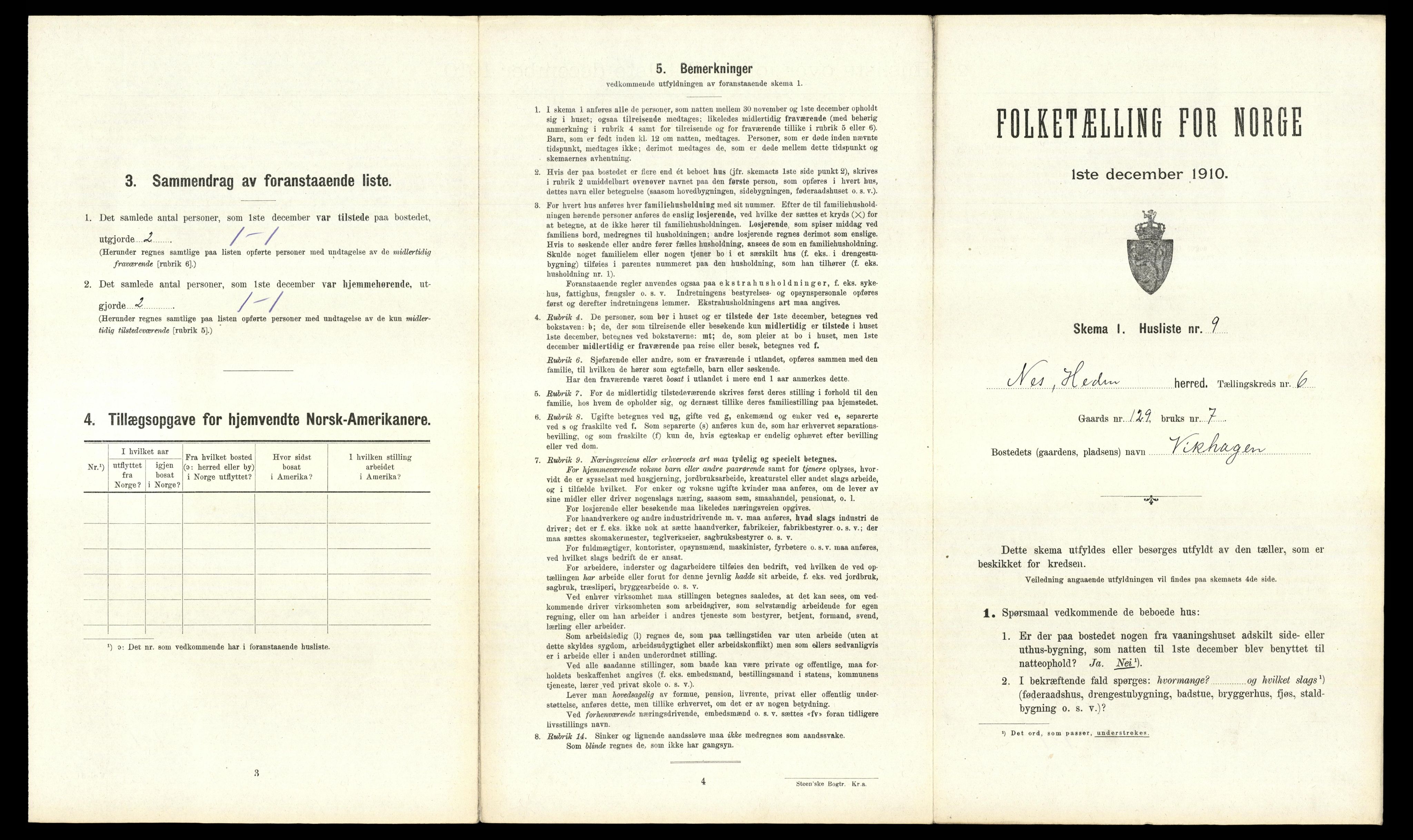 RA, 1910 census for Nes, 1910, p. 1079