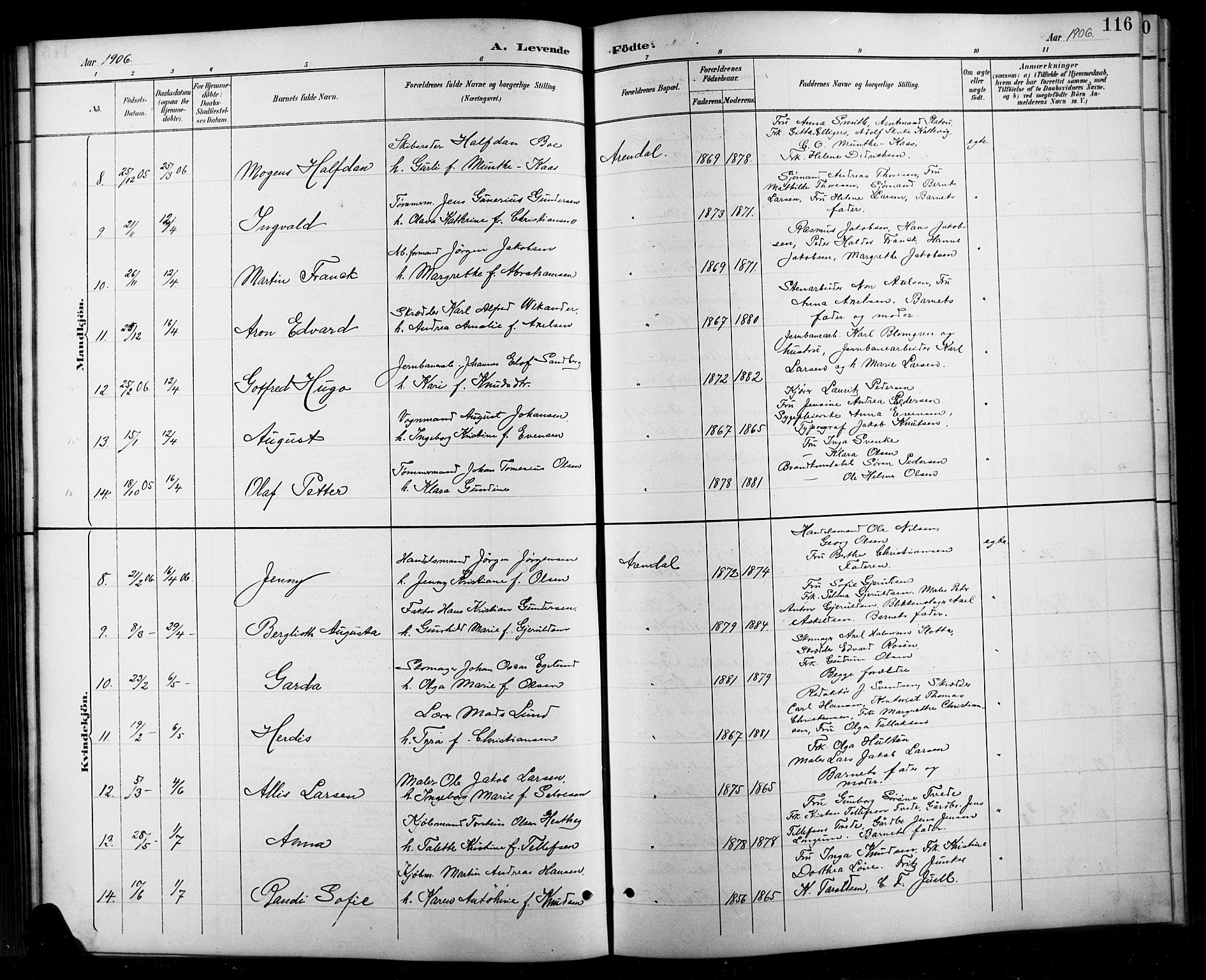 Arendal sokneprestkontor, Trefoldighet, SAK/1111-0040/F/Fb/L0006: Parish register (copy) no. B 6, 1889-1916, p. 116