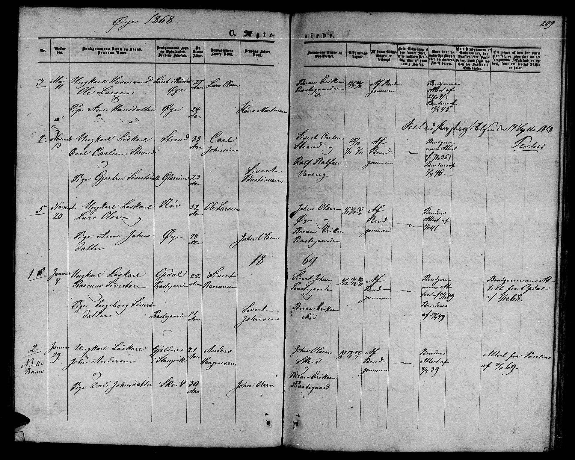 Ministerialprotokoller, klokkerbøker og fødselsregistre - Møre og Romsdal, SAT/A-1454/595/L1051: Parish register (copy) no. 595C03, 1866-1891, p. 209