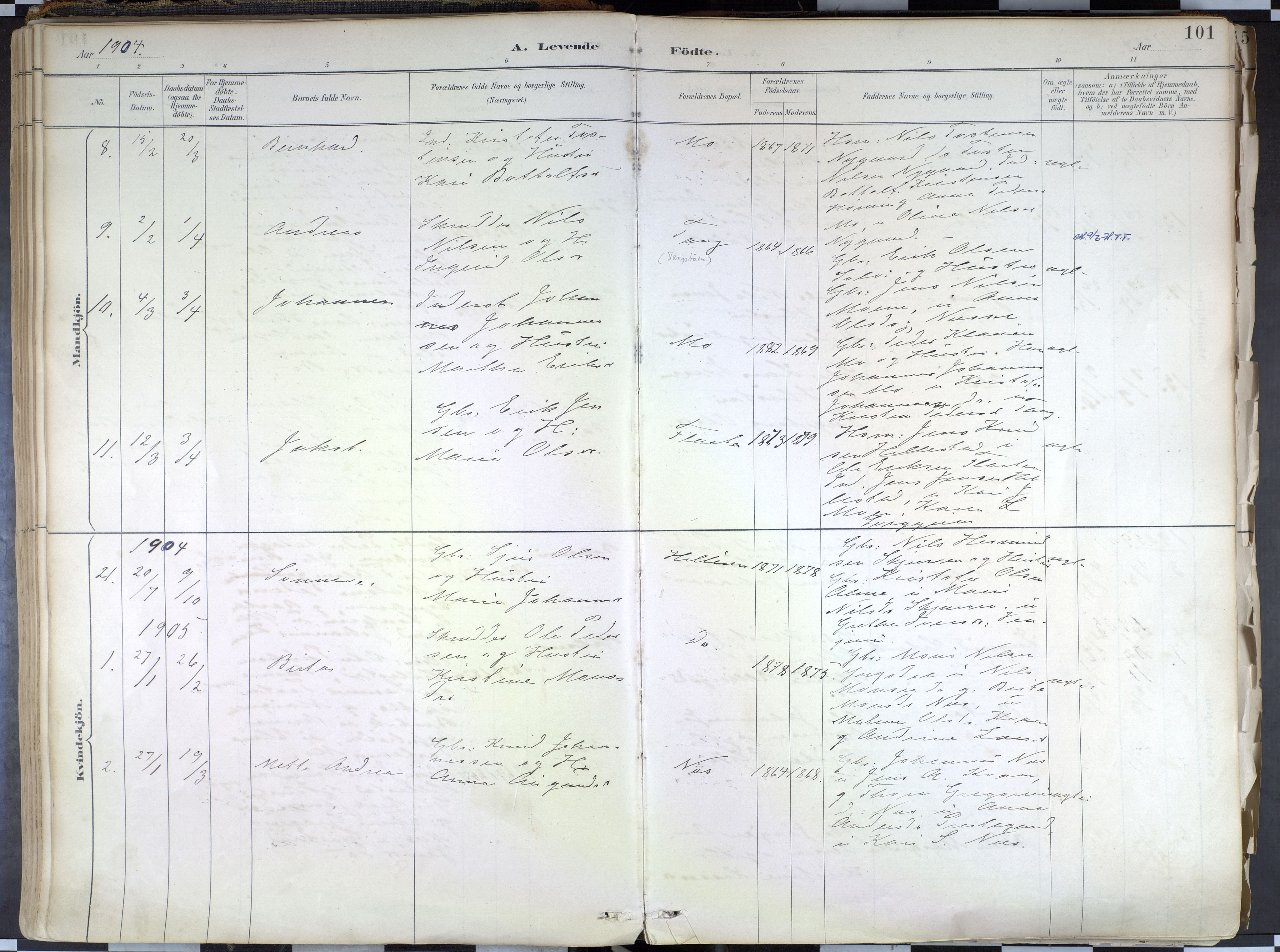 Hafslo sokneprestembete, SAB/A-80301/H/Haa/Haab/L0001: Parish register (official) no. B 1, 1886-1945, p. 101