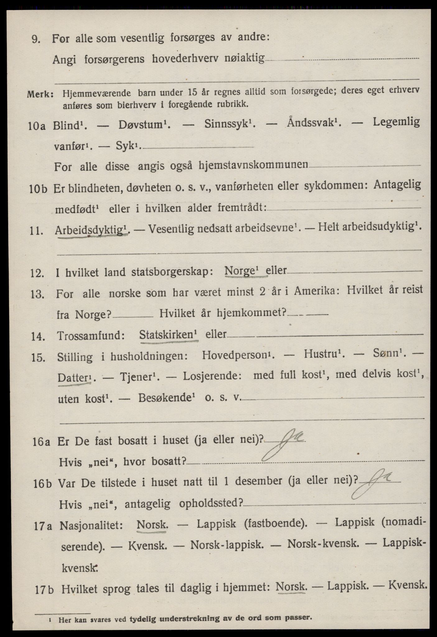 SAT, 1920 census for Hemne, 1920, p. 4003